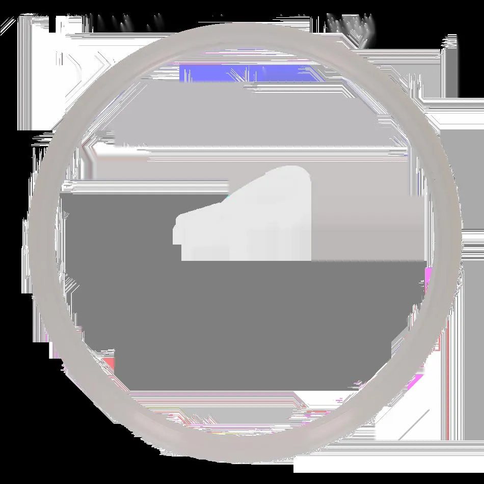 Goma olla Tefal Secure 6 litros - 22 CM