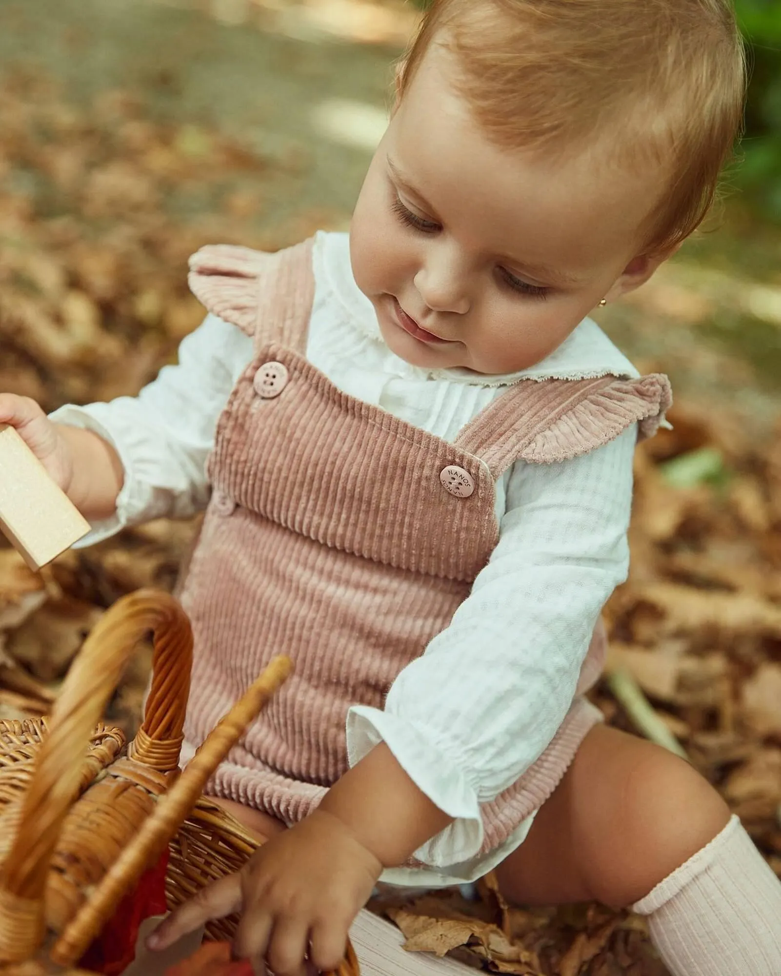 Catálogo de Folleto Nanos 30 de octubre al 26 de noviembre 2024 - Página 2