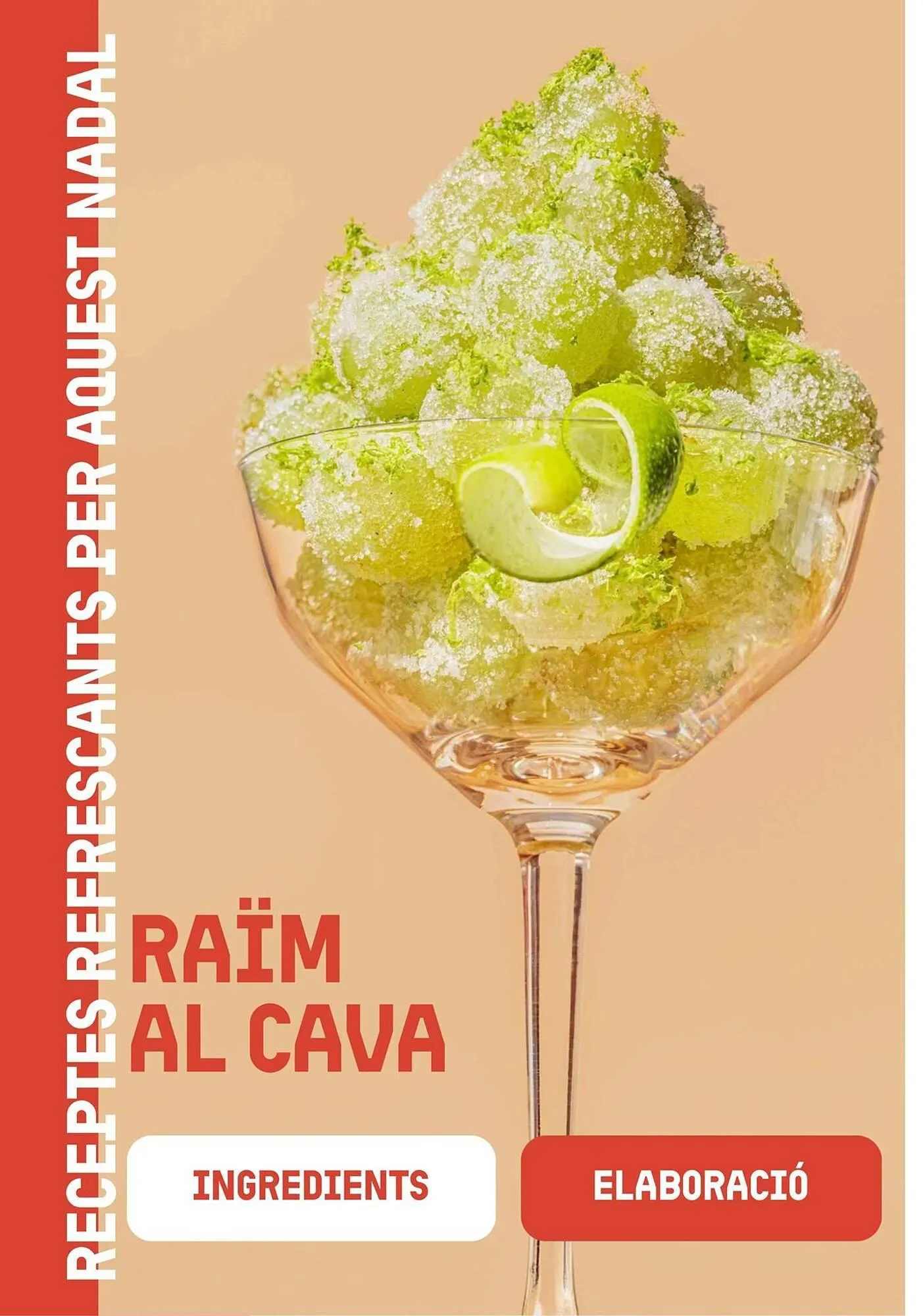 Catálogo de Folleto BonpreuEsclat 3 de diciembre al 31 de diciembre 2025 - Página 31