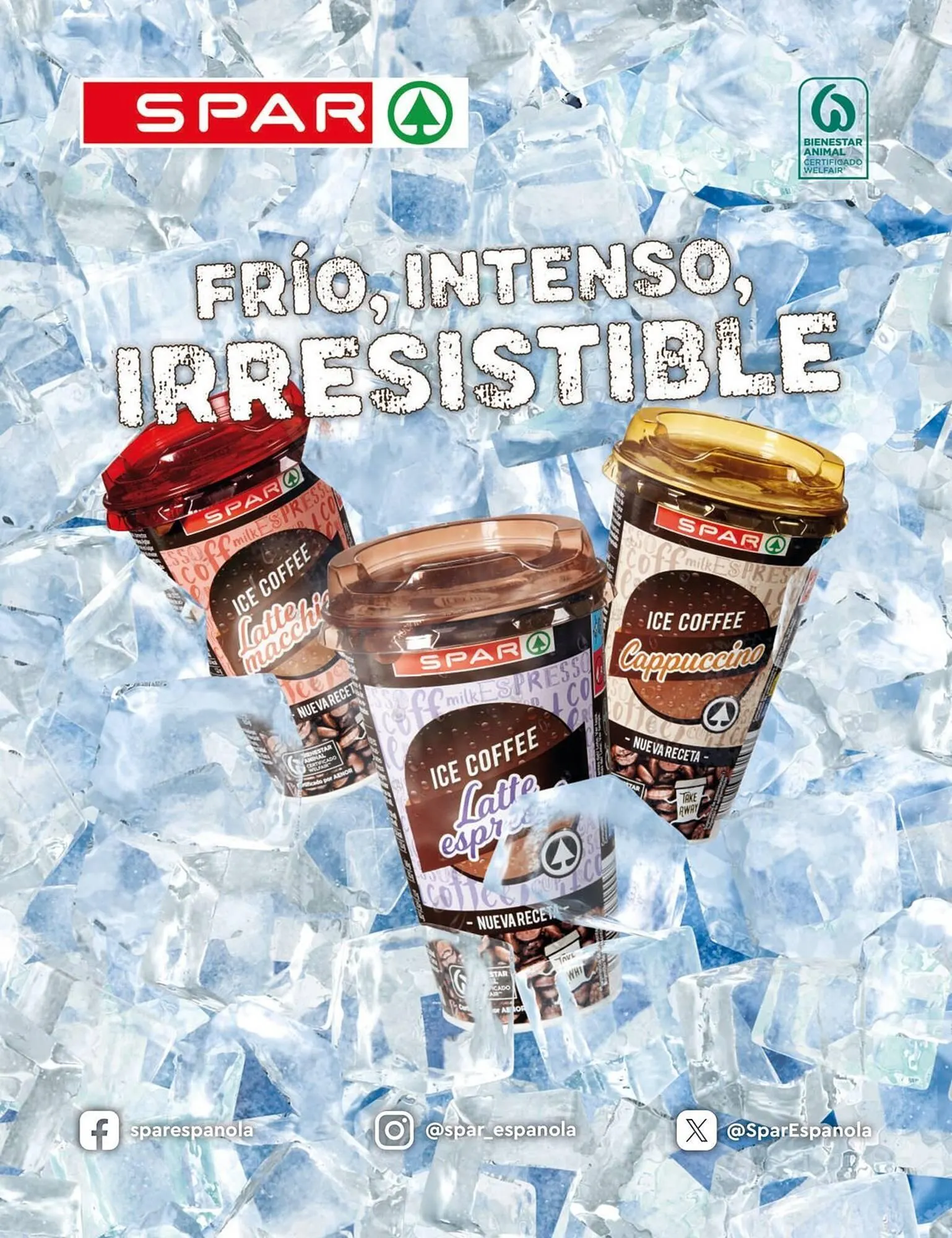 Catálogo de Folleto SPAR 8 de julio al 30 de septiembre 2025 - Página 15