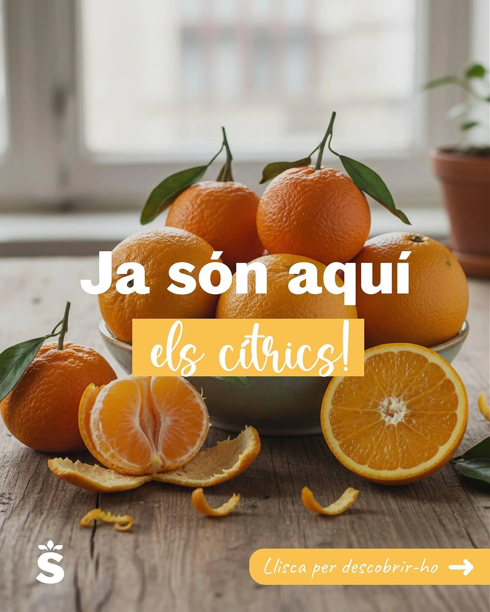 Catálogo de Catálogo Sorli 9 de noviembre al 15 de noviembre 2025 - Página 1