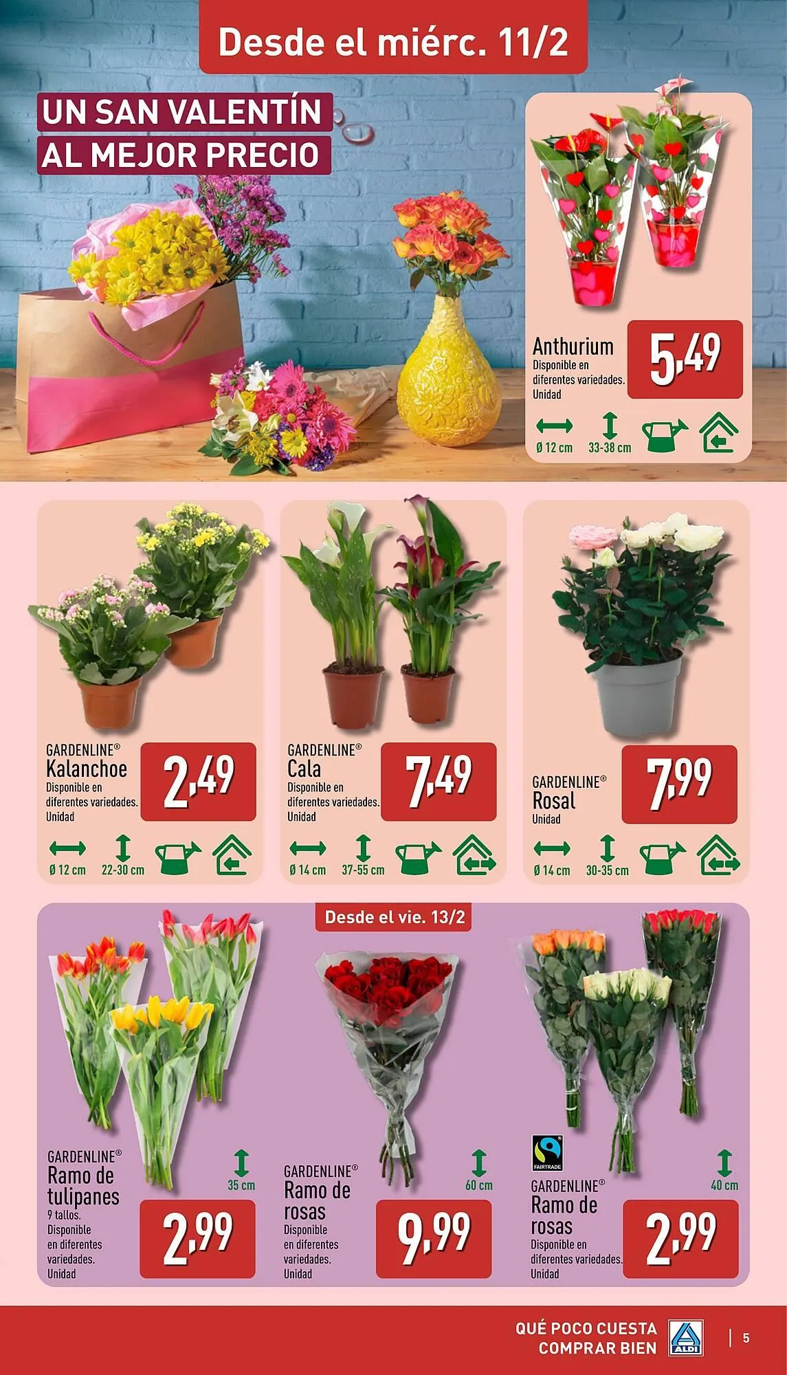 Catálogo de Folleto ALDI 9 de febrero al 15 de febrero 2026 - Página 5