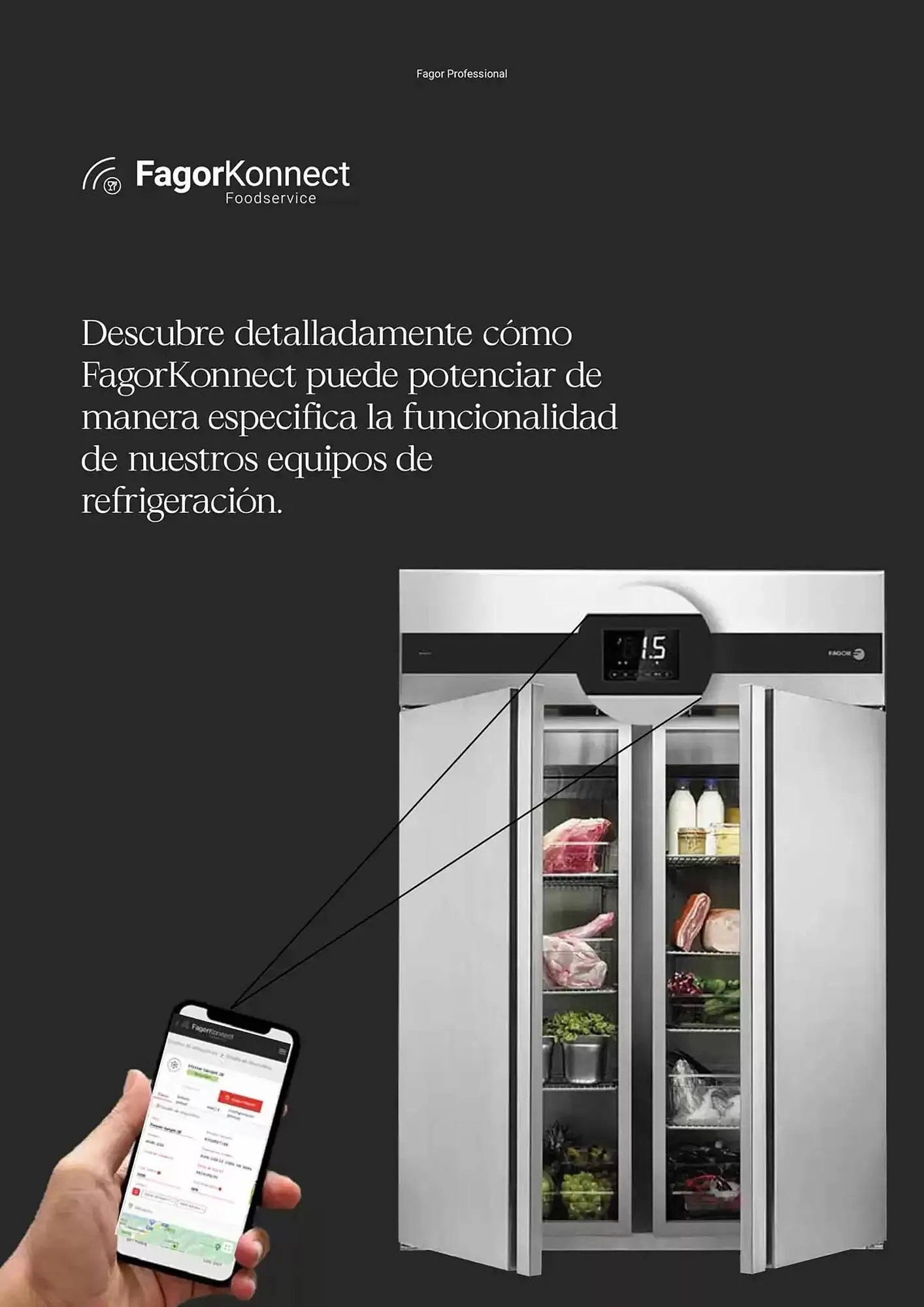 Catálogo de Folleto Fagor 3 de marzo al 1 de enero 2026 - Página 252