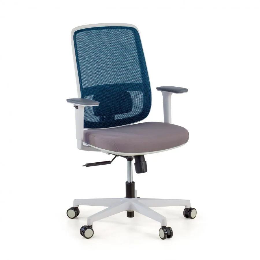 Silla de oficina profesional Kaito white, homologada - Blanco/Azul