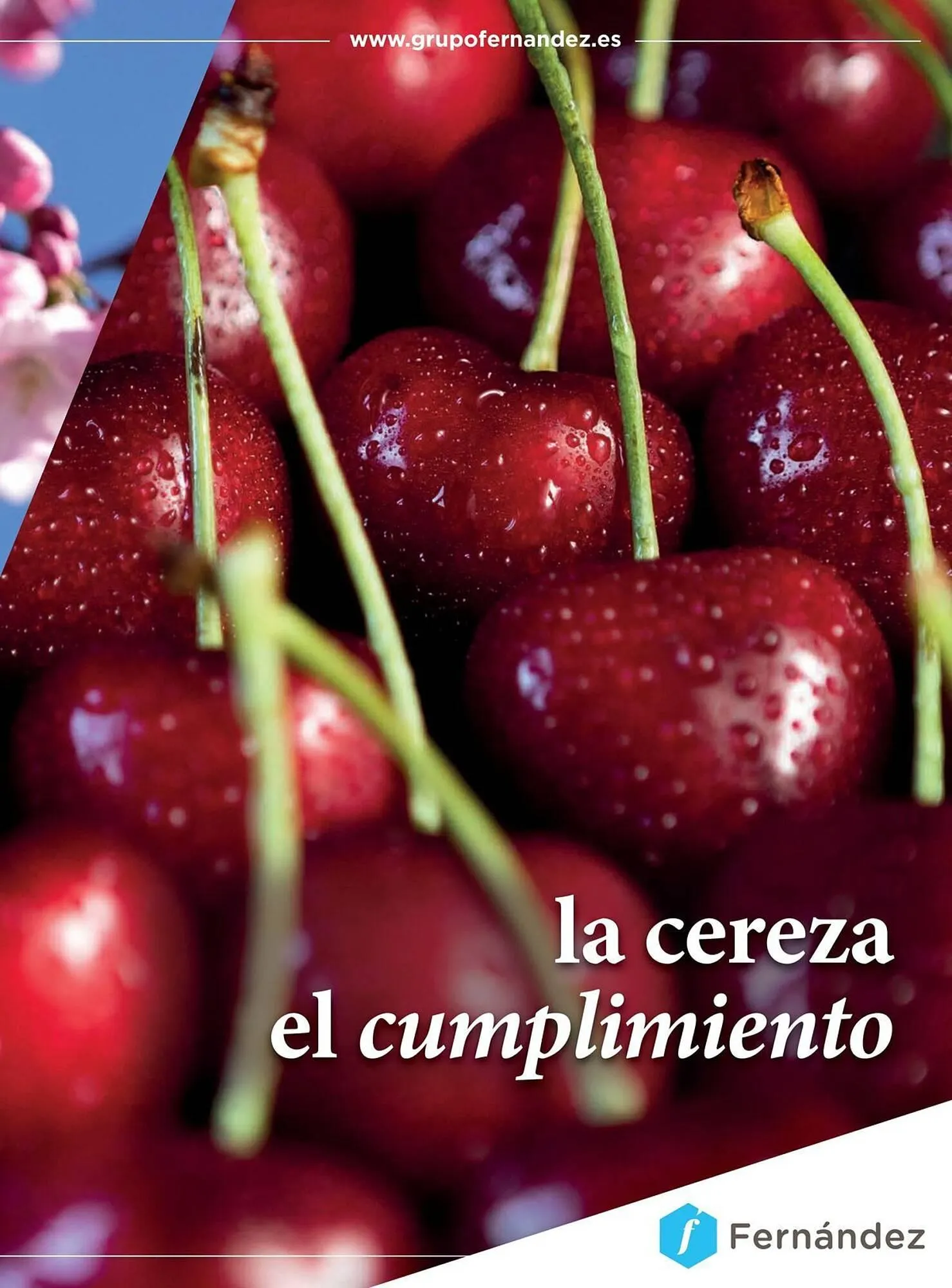 Catálogo de Catálogo Costco 6 de enero al 31 de marzo 2026 - Página 95