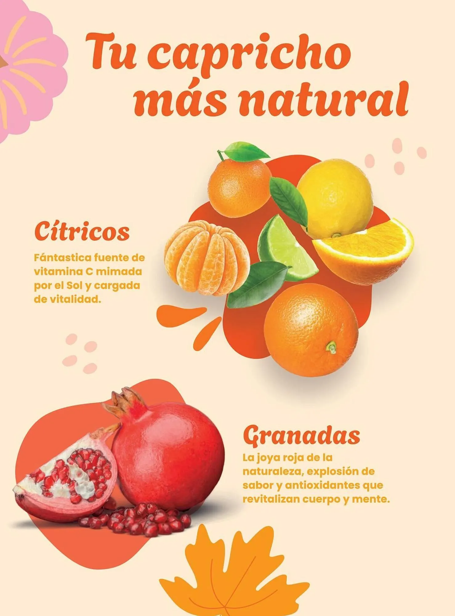 Catálogo de Catálogo Costco 6 de enero al 31 de marzo 2026 - Página 102