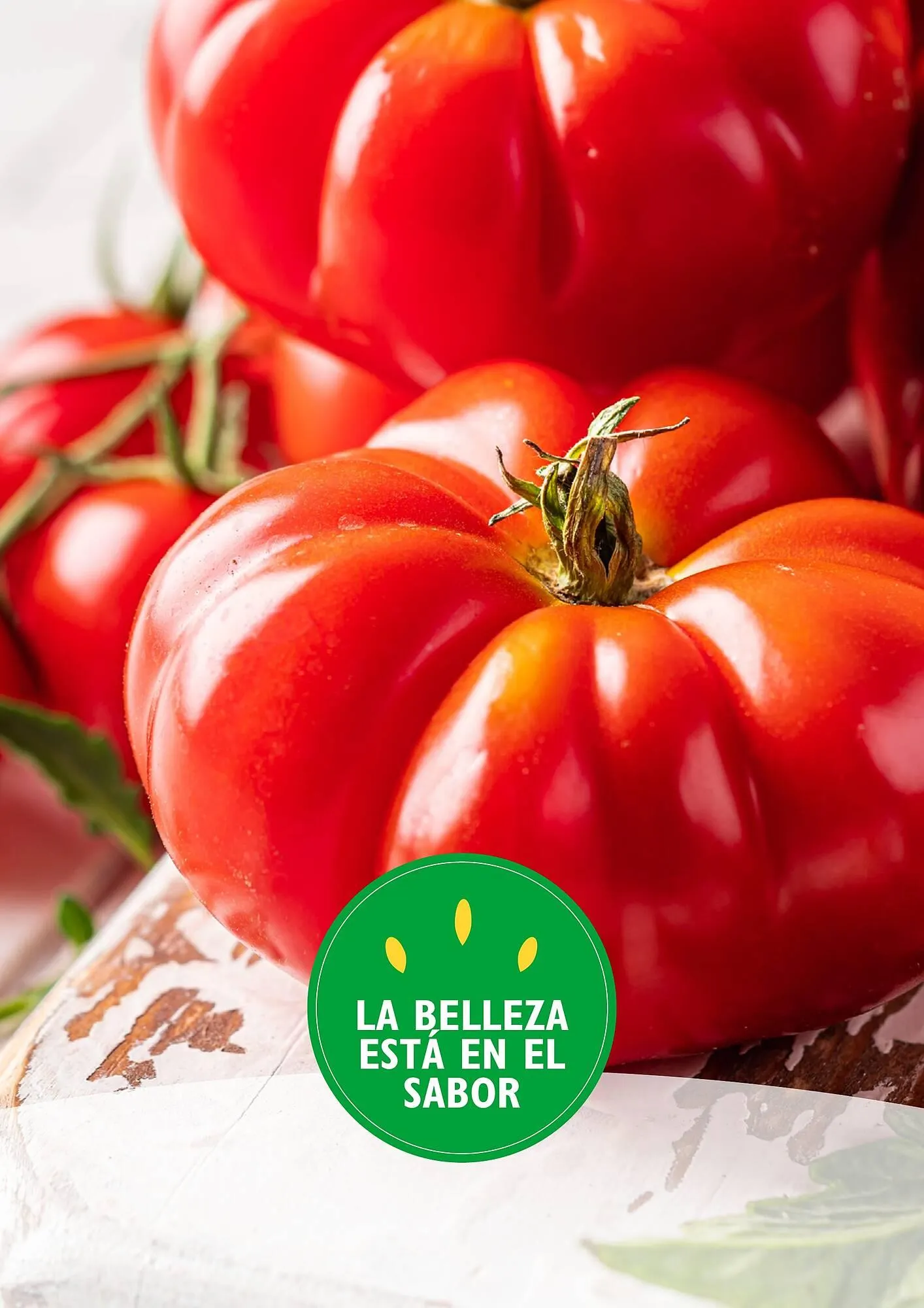 Catálogo de Folleto Alcampo 23 de abril al 31 de diciembre 2025 - Página 44