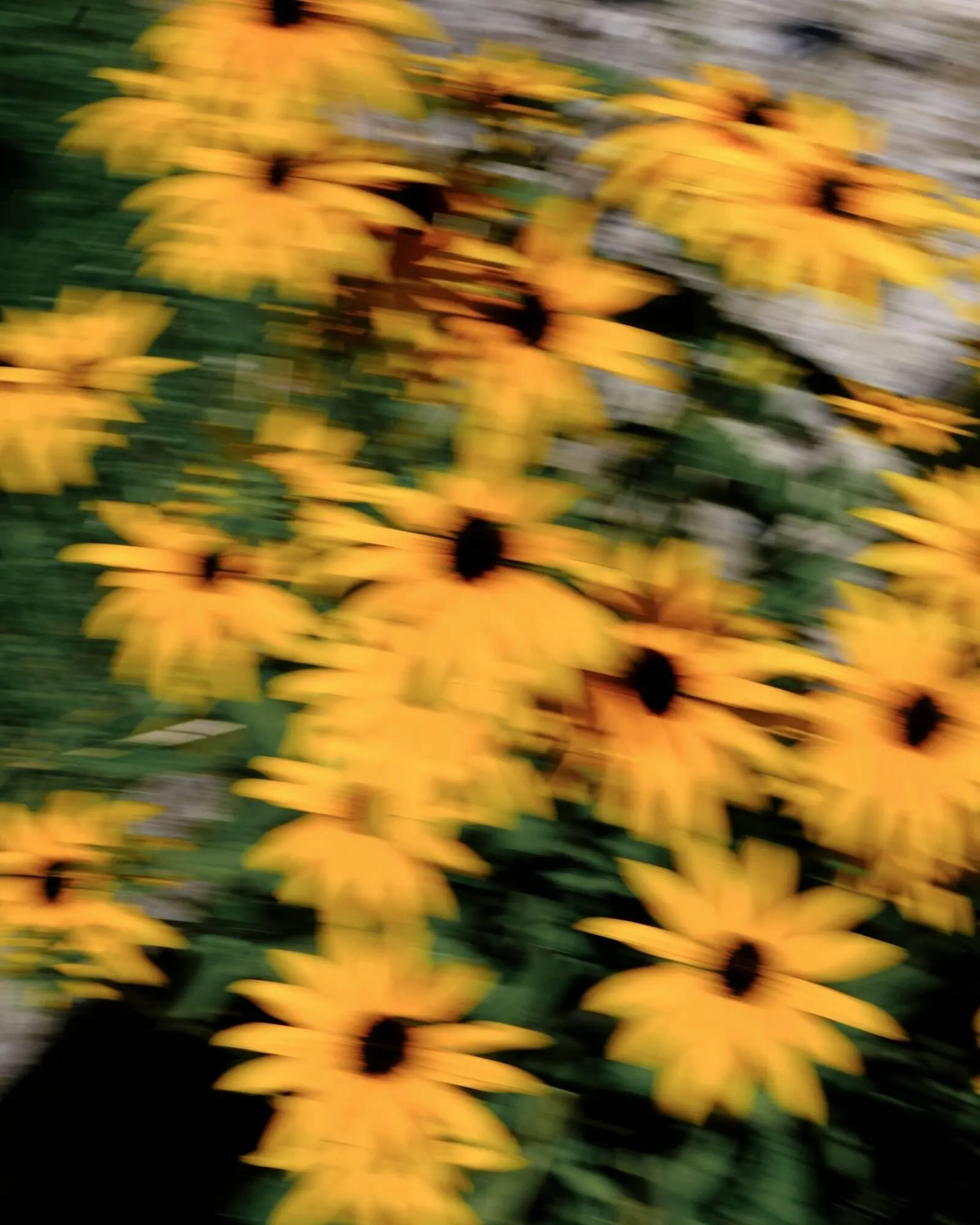 Catálogo de Folleto Napapijri 11 de abril al 17 de abril 2026 - Página 2