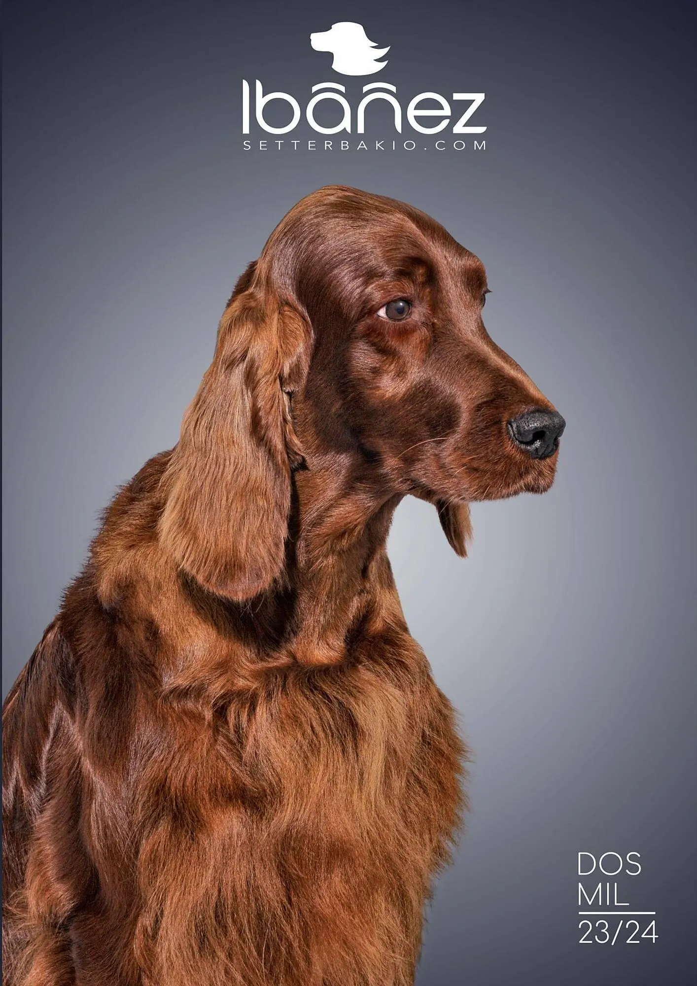 Folleto Setter Bakio - 1