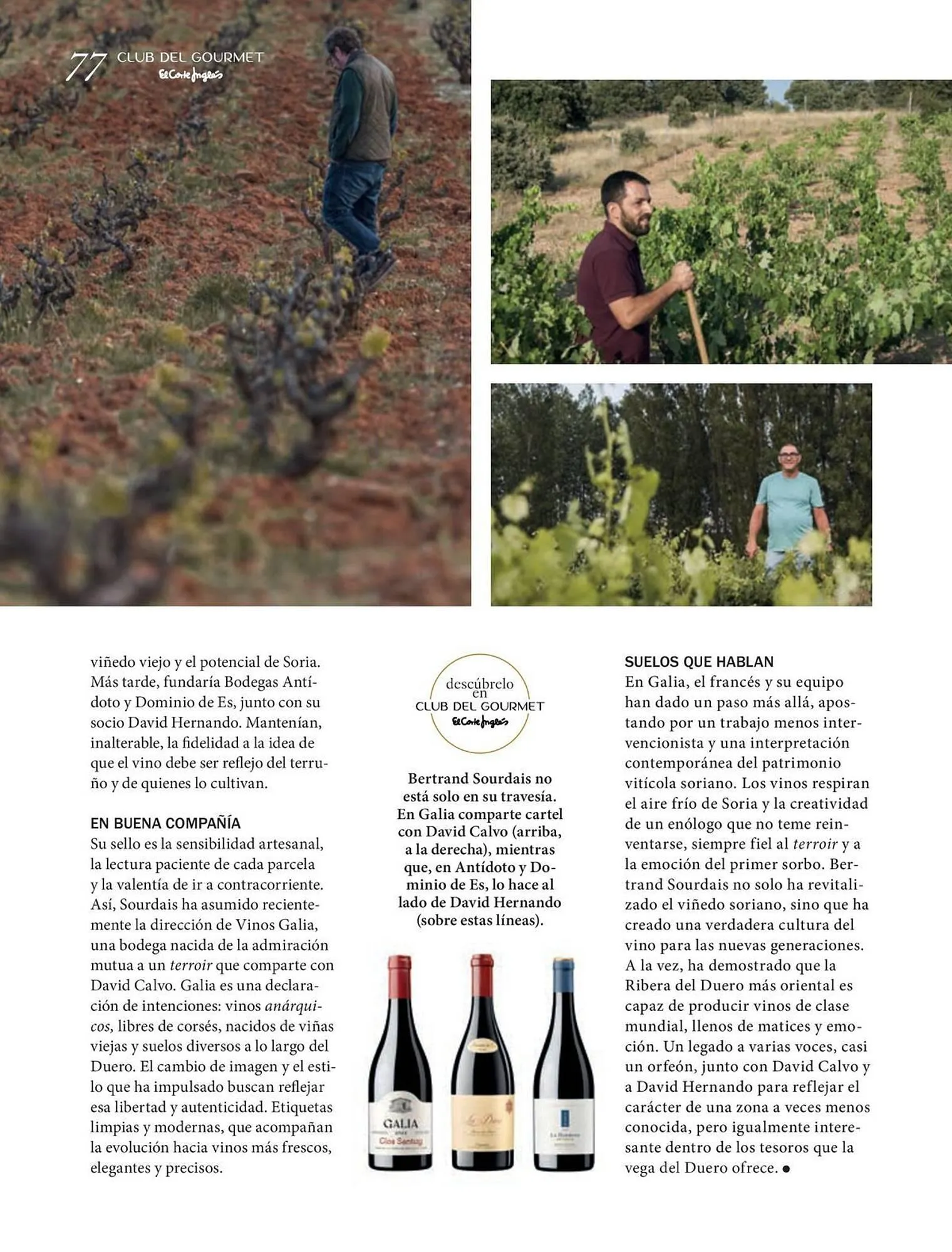 Catálogo de Folleto El Corte Inglés 30 de junio al 31 de agosto 2025 - Página 77