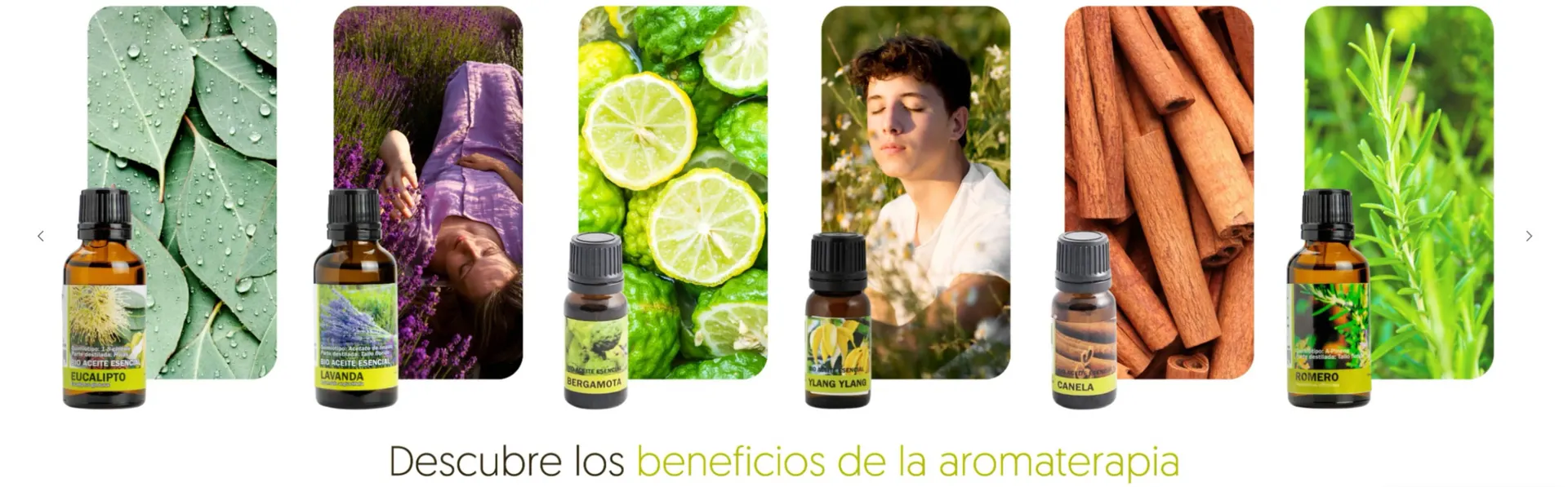 Folleto Herbolario Navarro - 1