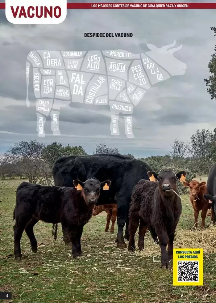 Catálogo de Especial Carnes Canarias 7 de abril al 4 de mayo 2025 - Página 4