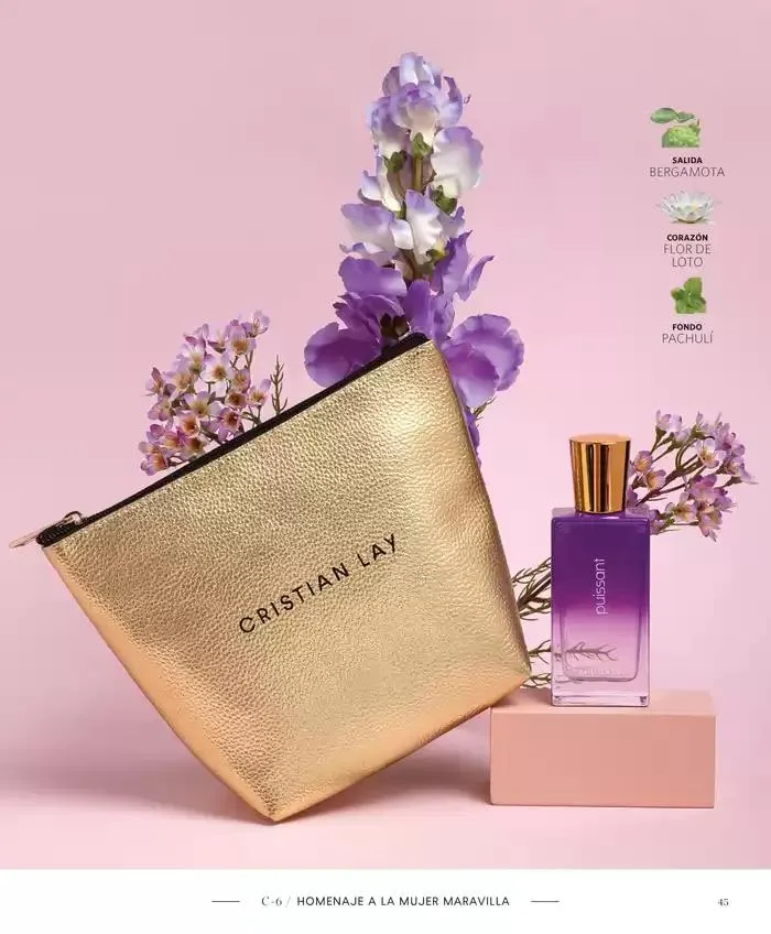 Catálogo de Del lunes 14 de abril al domingo 4 de mayo 14 de abril al 4 de mayo 2025 - Página 45