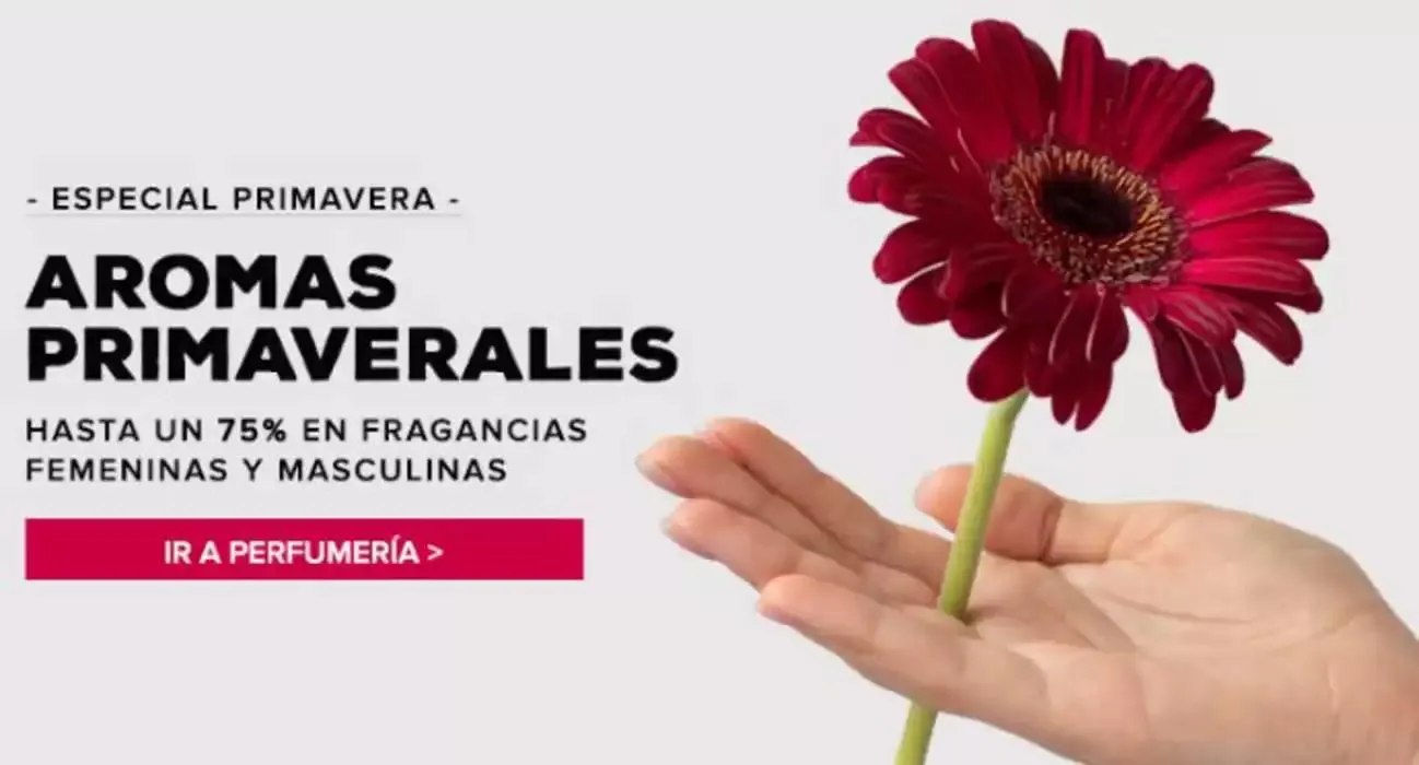 Especial primavera - 1