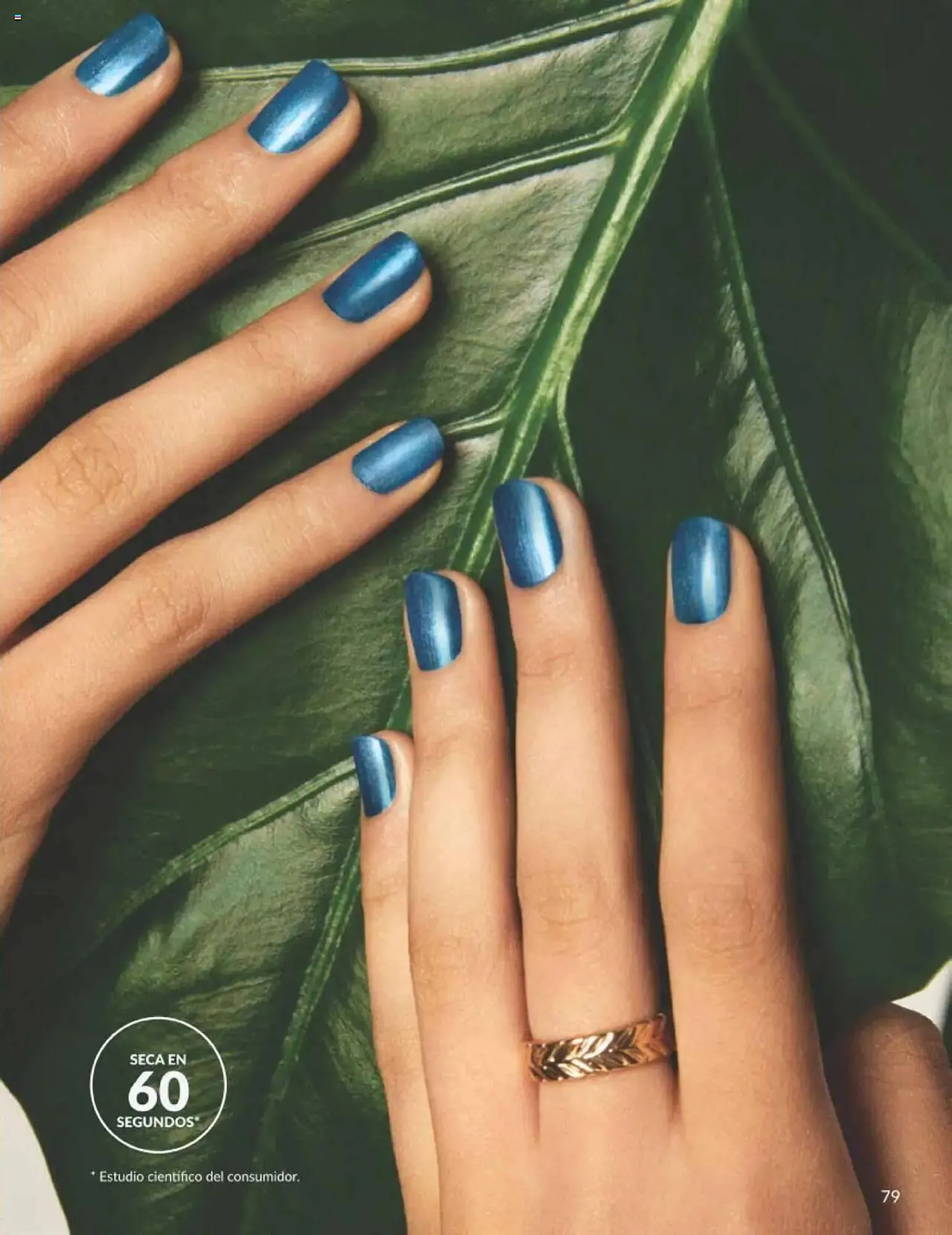 Catálogo de Folleto AVON 1 de septiembre al 30 de septiembre 2025 - Página 79