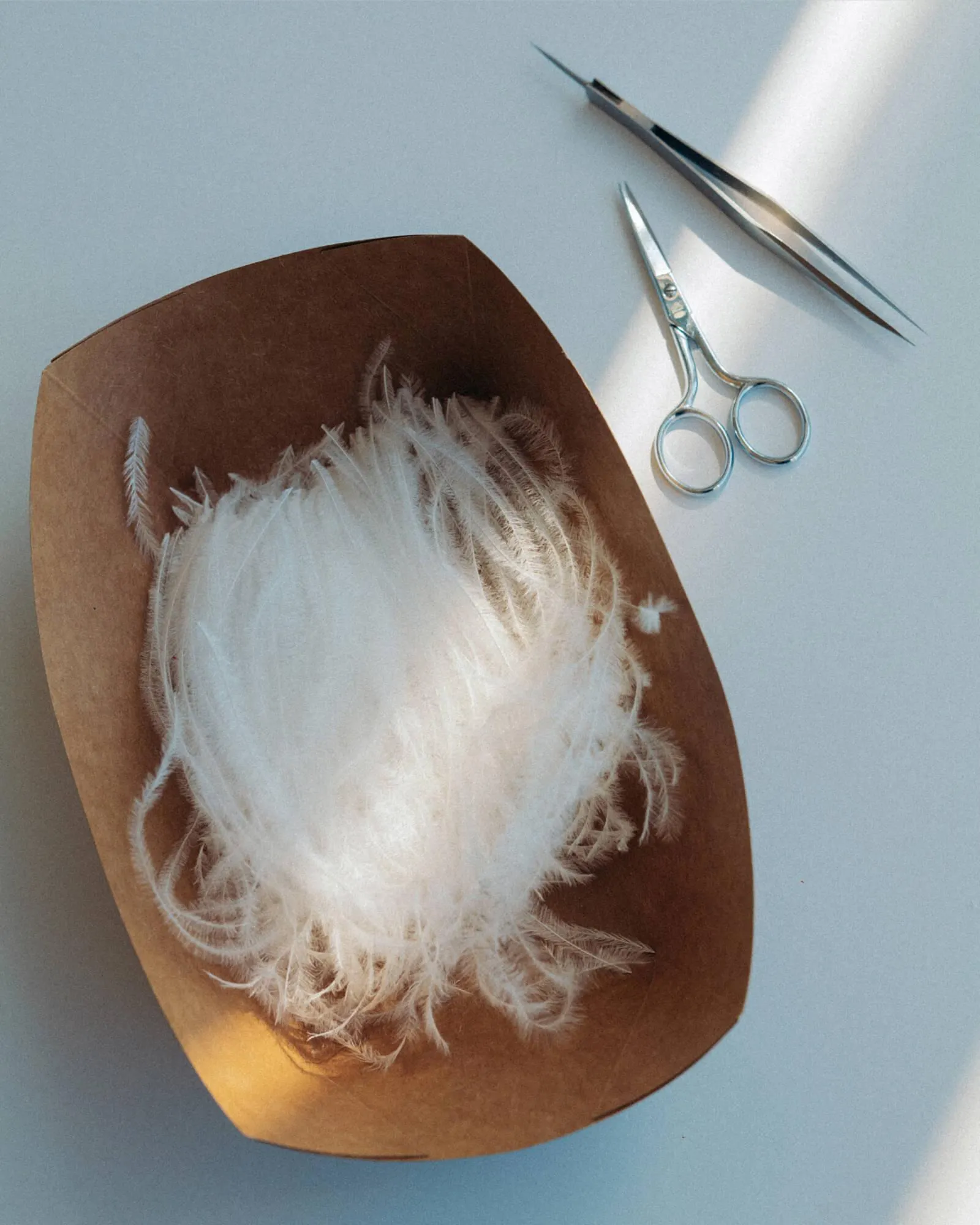 Catálogo de Folleto Chanel 29 de septiembre al 8 de noviembre 2025 - Página 4