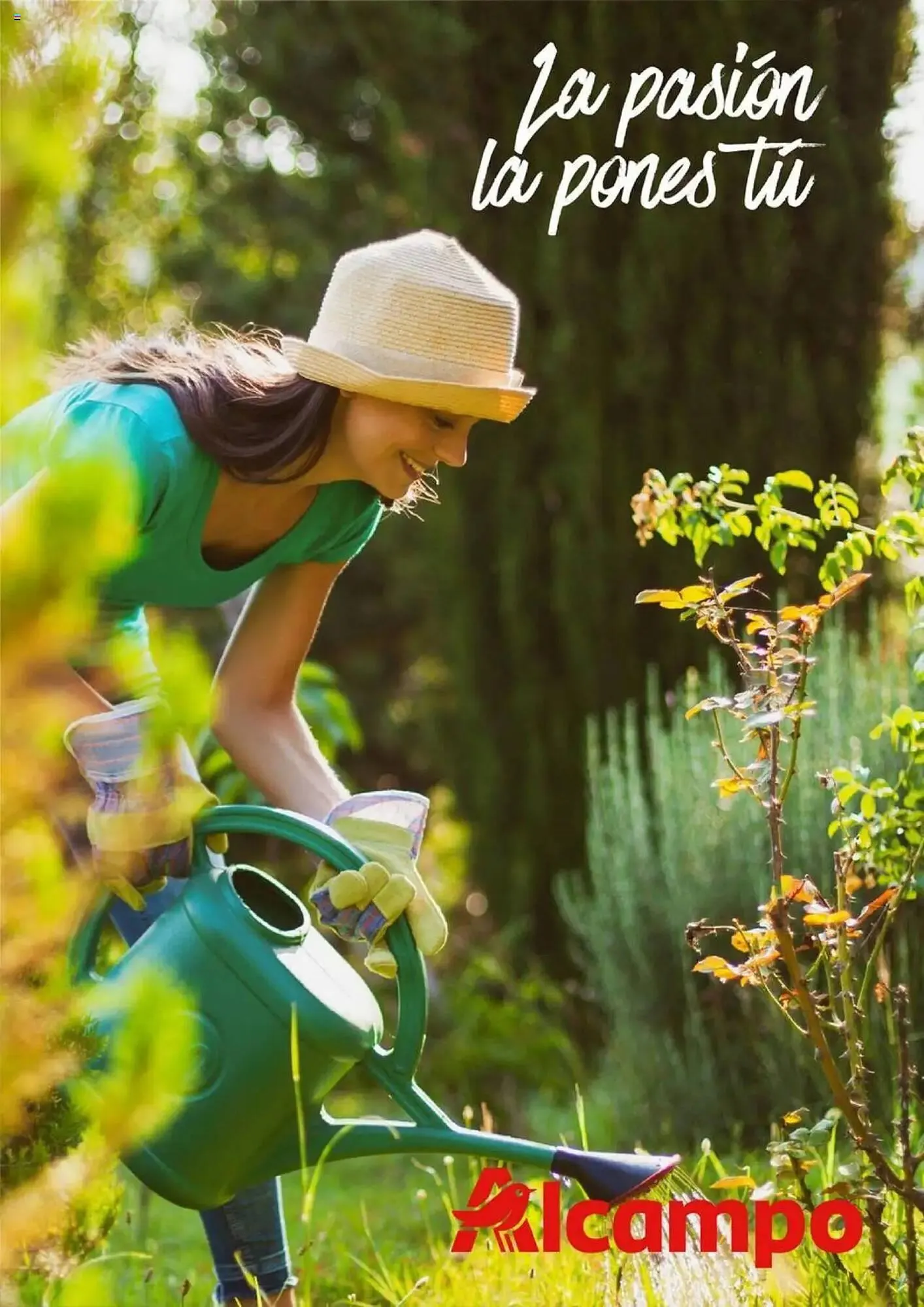 Catálogo de Folleto Alcampo 11 de febrero al 31 de diciembre 2025 - Página 22