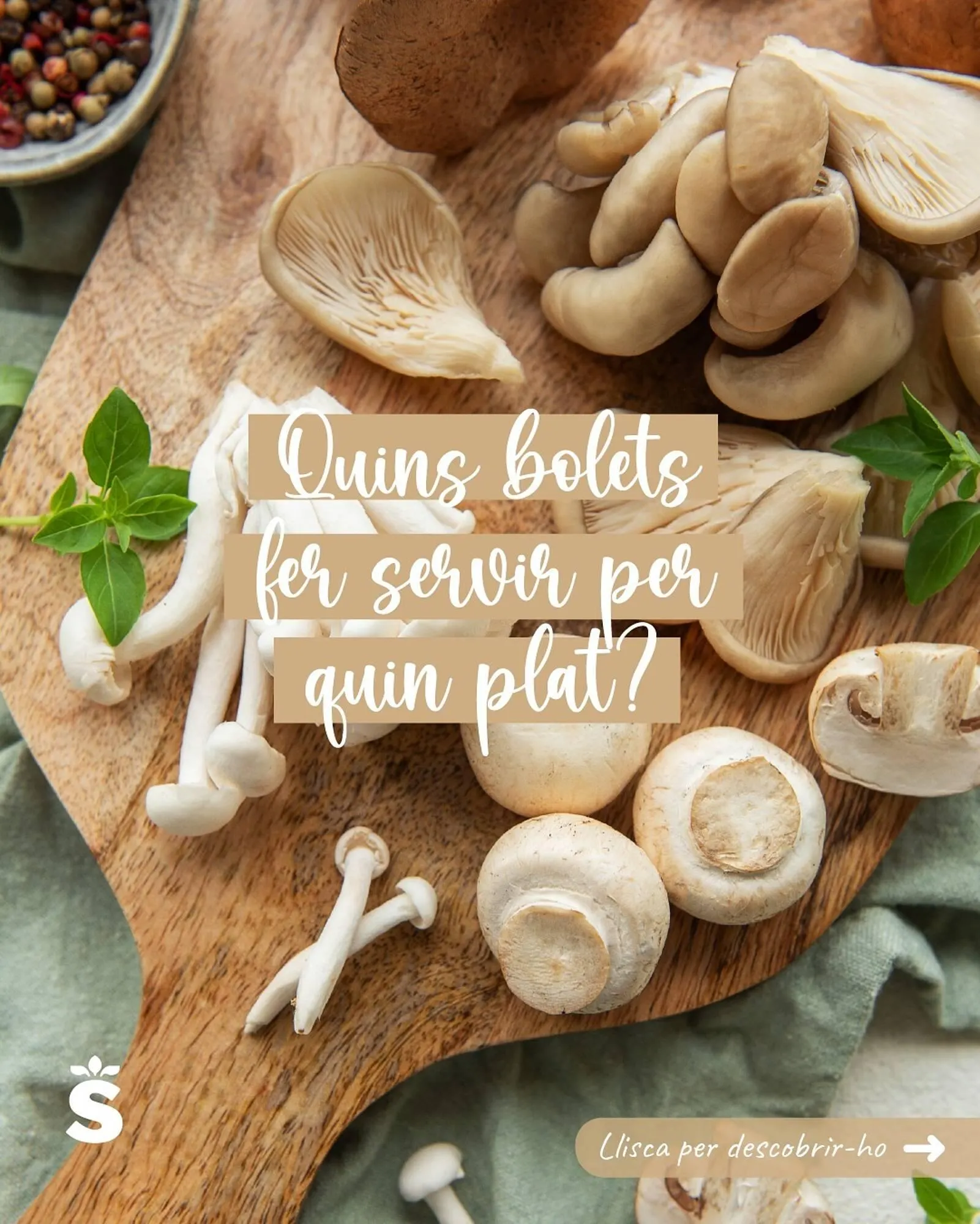 Catálogo de Catálogo Sorli 18 de noviembre al 6 de diciembre 2025 - Página 1