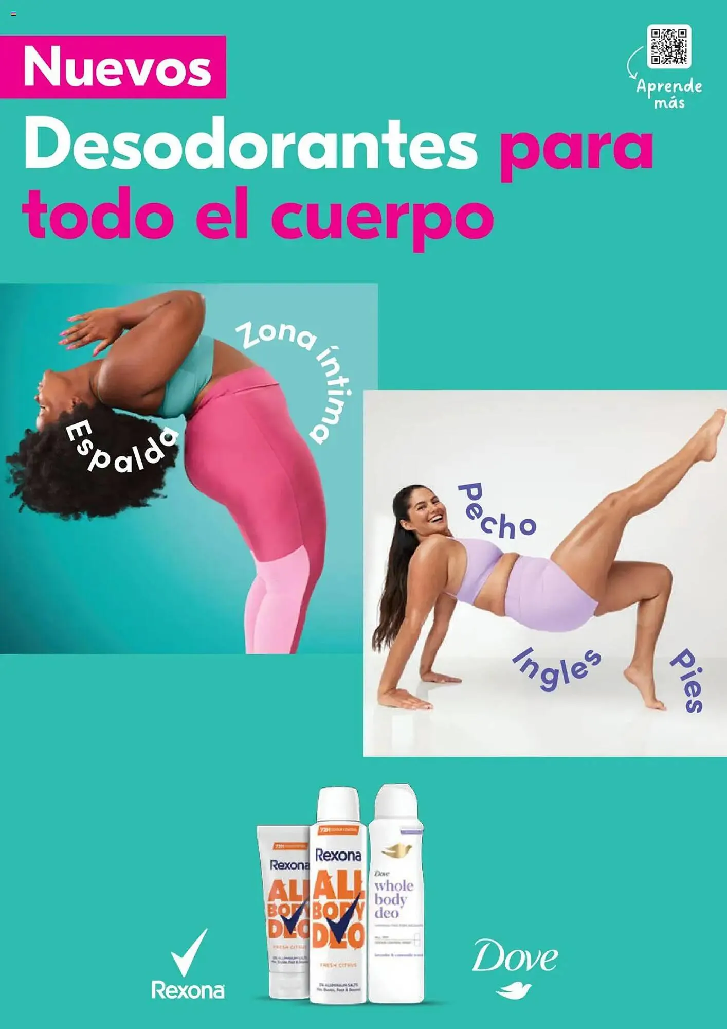 Catálogo de Folleto Alimerka 12 de junio al 2 de julio 2025 - Página 41