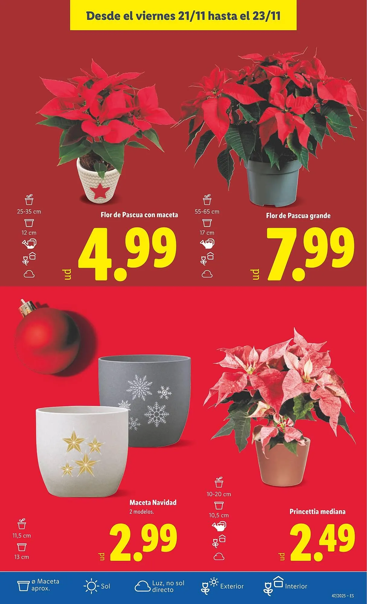 Catálogo de Catálogo Lidl 17 de noviembre al 23 de noviembre 2025 - Página 51