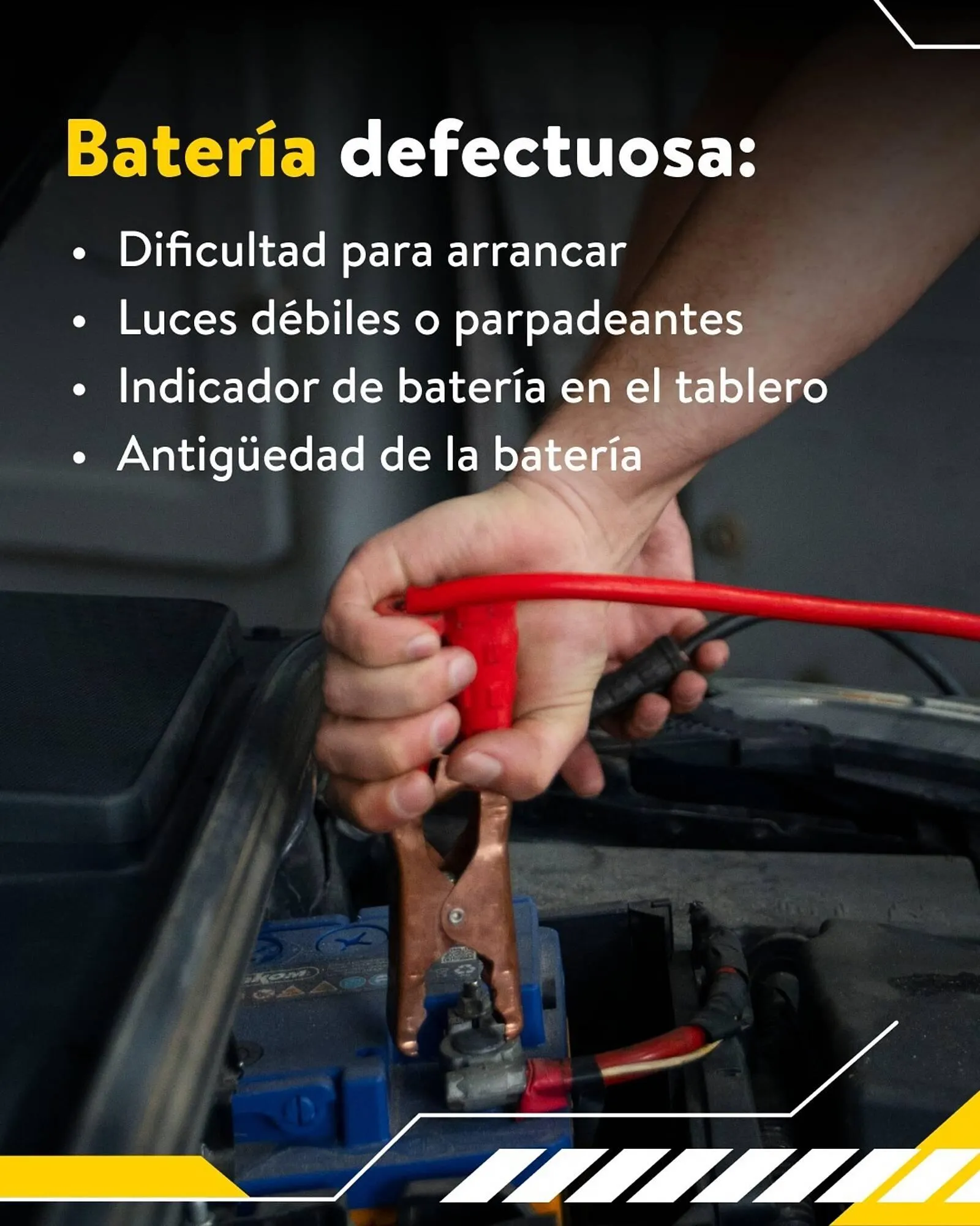 Catálogo de Folleto Rodi 26 de febrero al 4 de marzo 2026 - Página 2