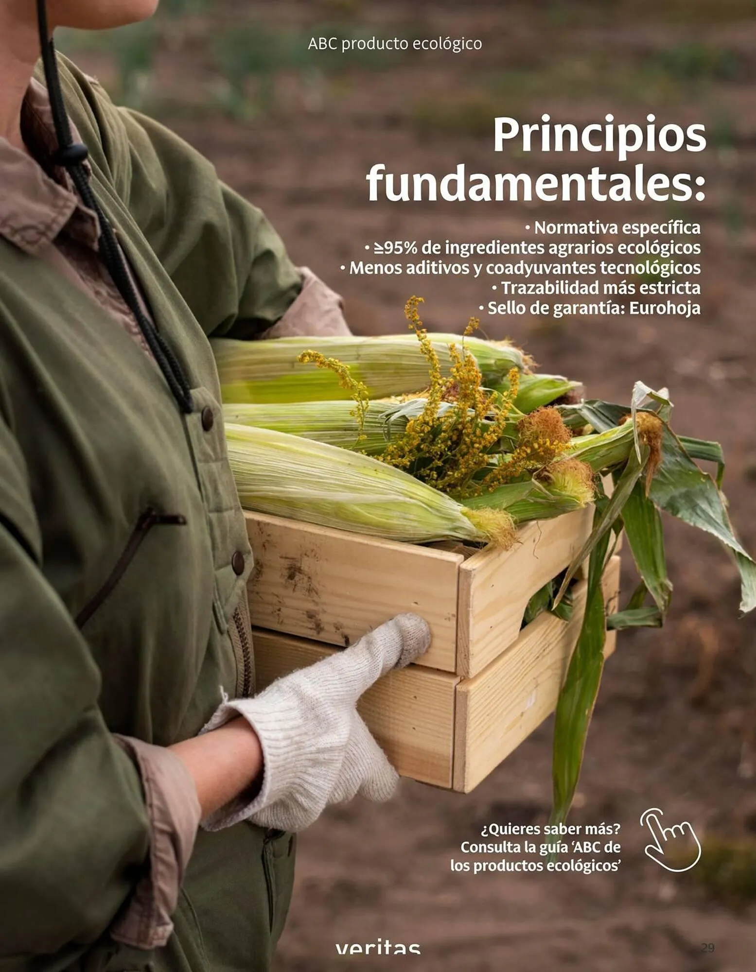 Catálogo de Catálogo Veritas 1 de octubre al 31 de octubre 2025 - Página 29