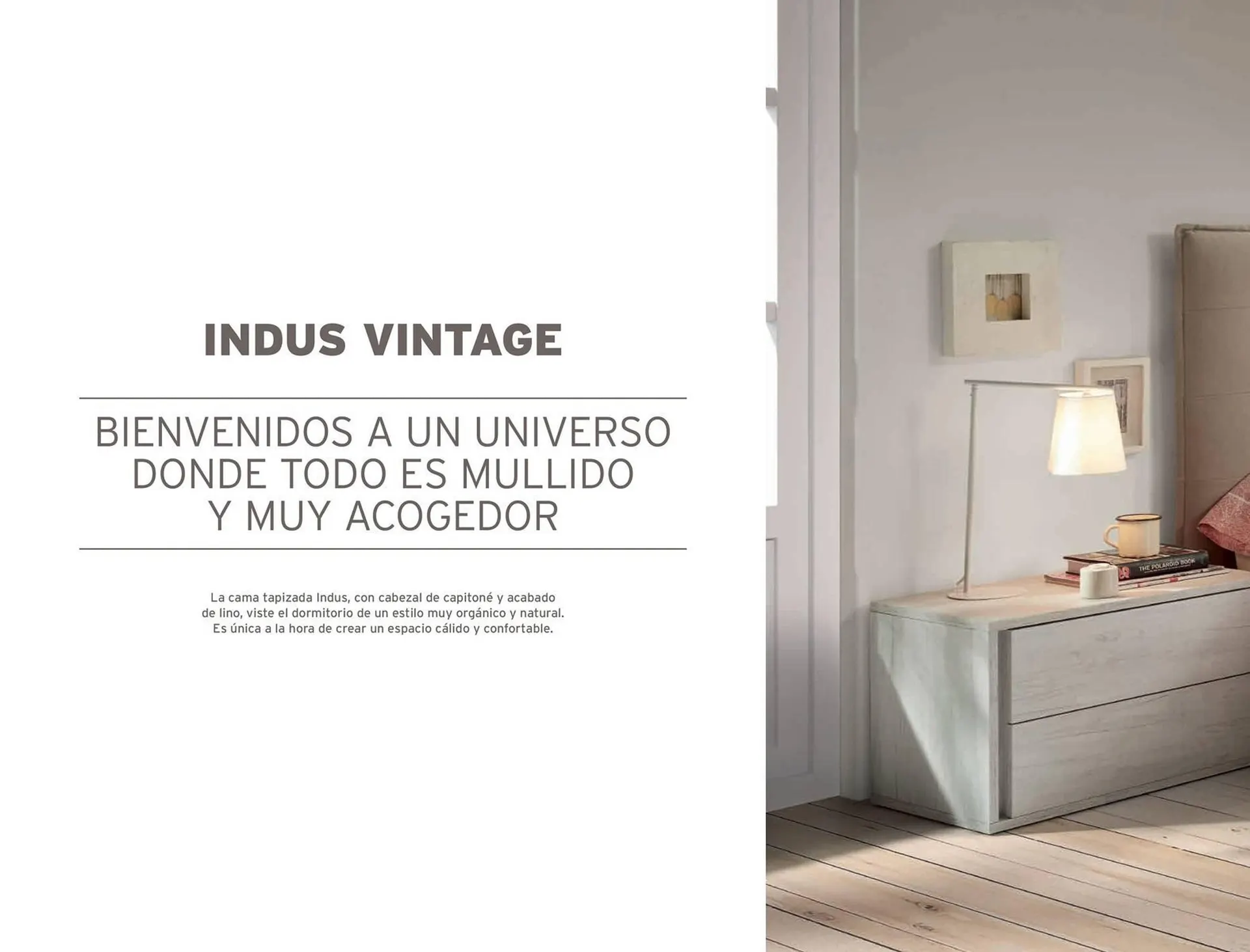 Catálogo de Catálogo Kibuc 5 de enero al 31 de diciembre 2026 - Página 2