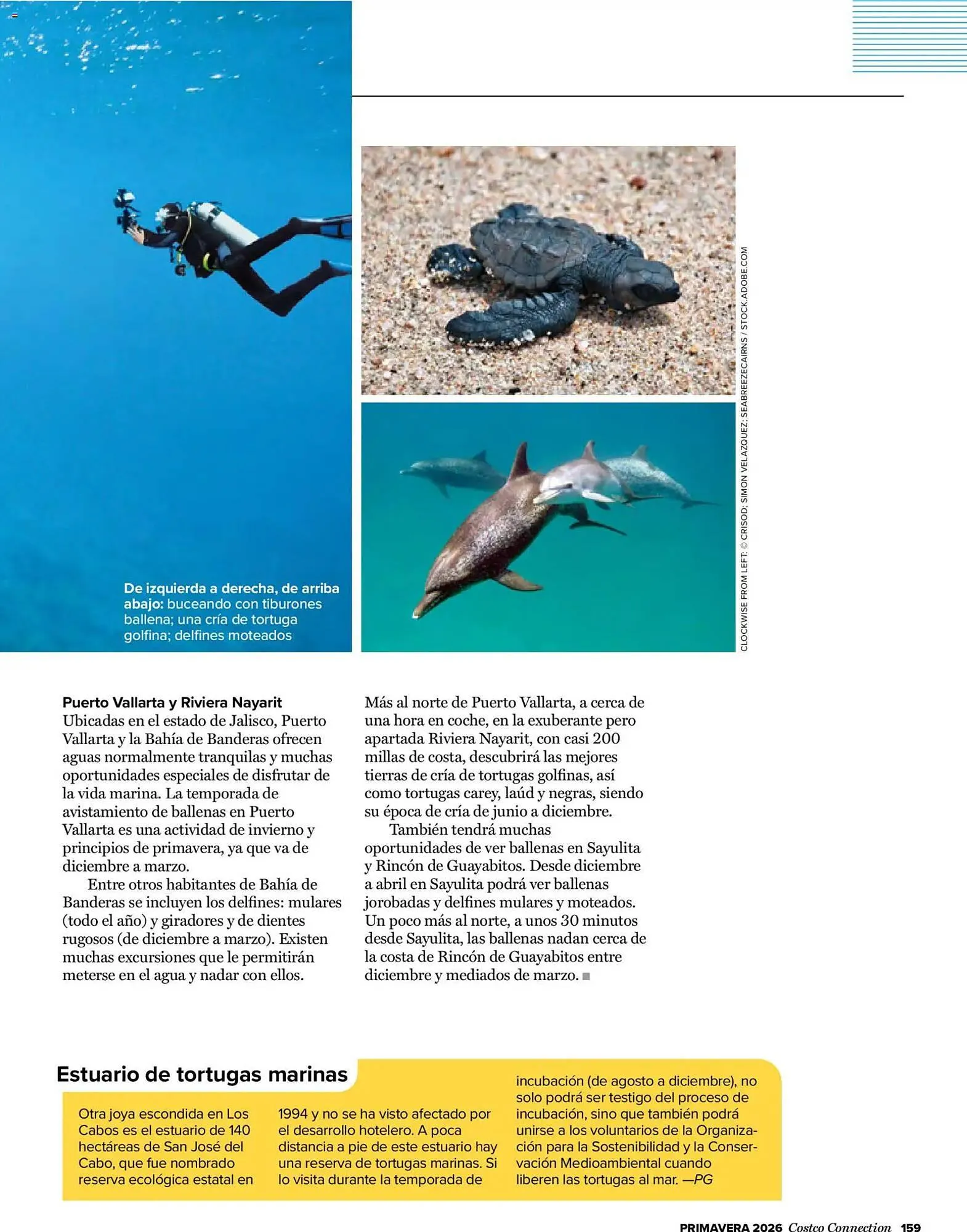 Catálogo de Catálogo Costco 19 de marzo al 31 de mayo 2026 - Página 159