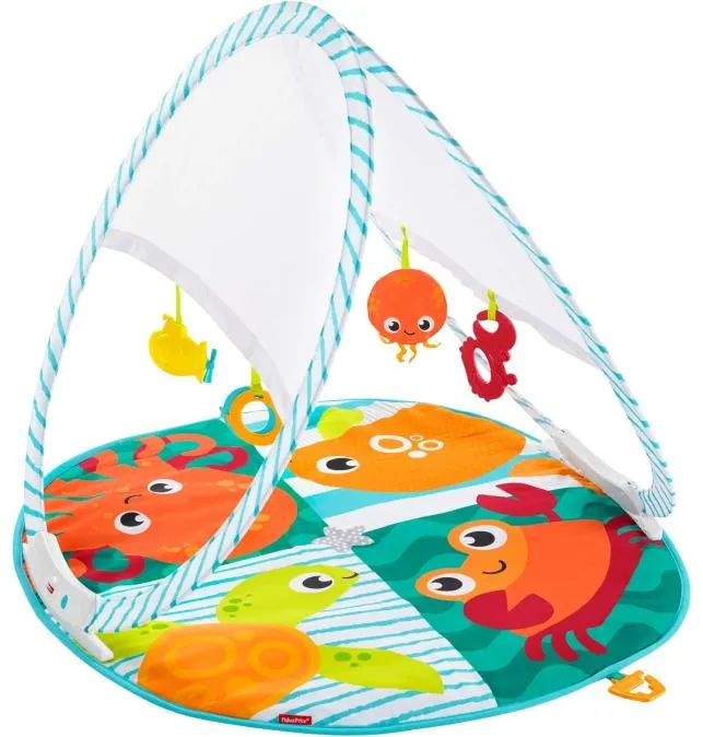 GIMNASIO PLEGABLE Y PORTATIL