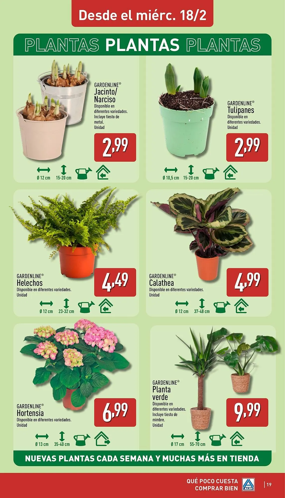 Catálogo de Folleto ALDI 16 de febrero al 22 de febrero 2026 - Página 19