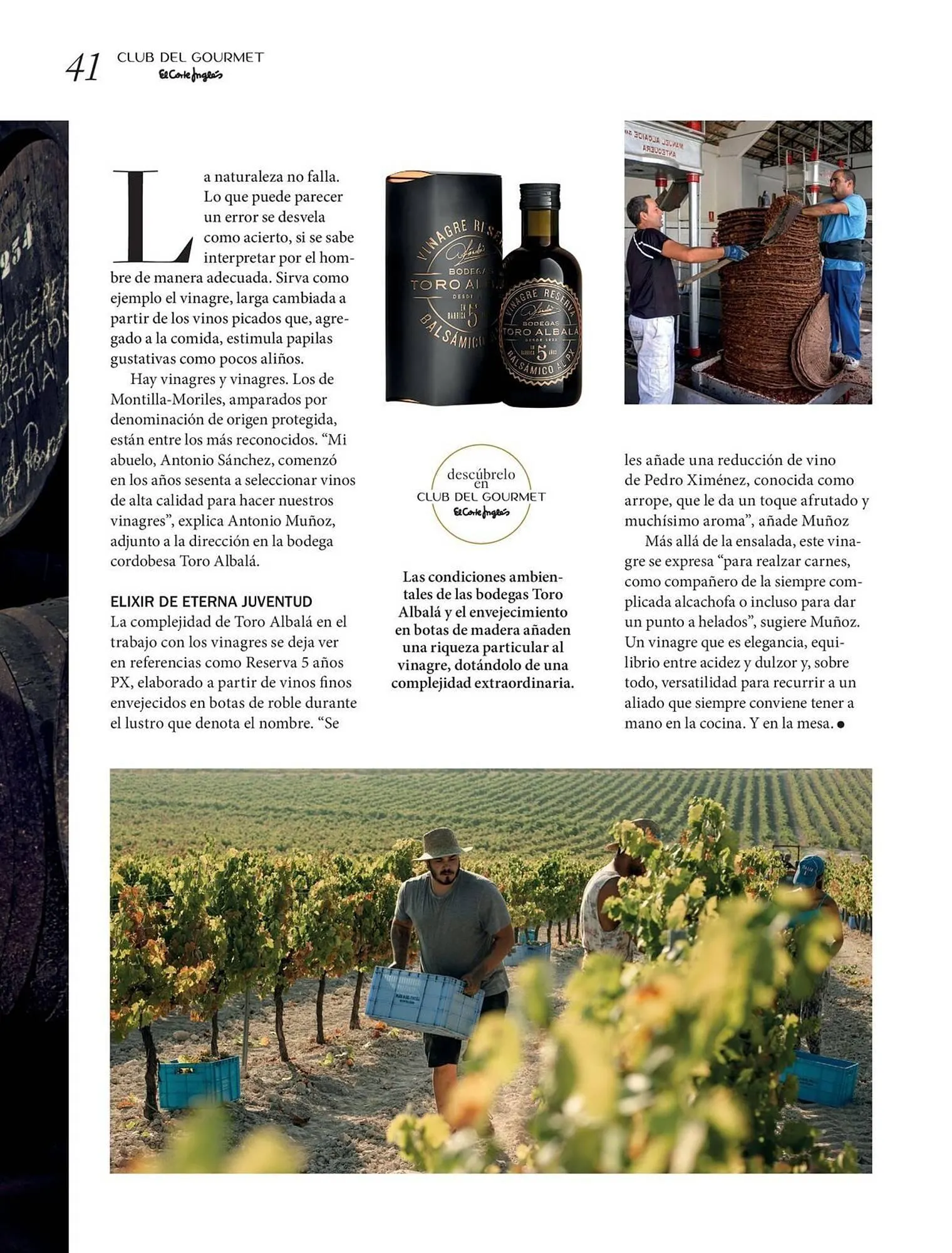 Catálogo de Catálogo El Corte Inglés 24 de marzo al 31 de mayo 2026 - Página 41