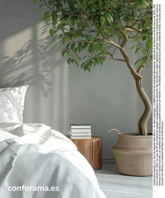 Catálogo de Guía de Descanso 2025 7 de febrero al 28 de febrero 2025 - Página 80