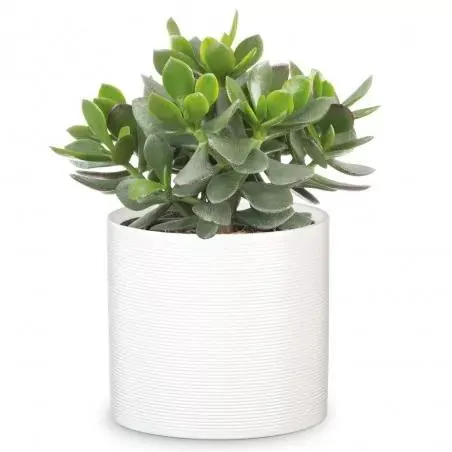 MACETERO CILINDRO RALLADO BLANCO
