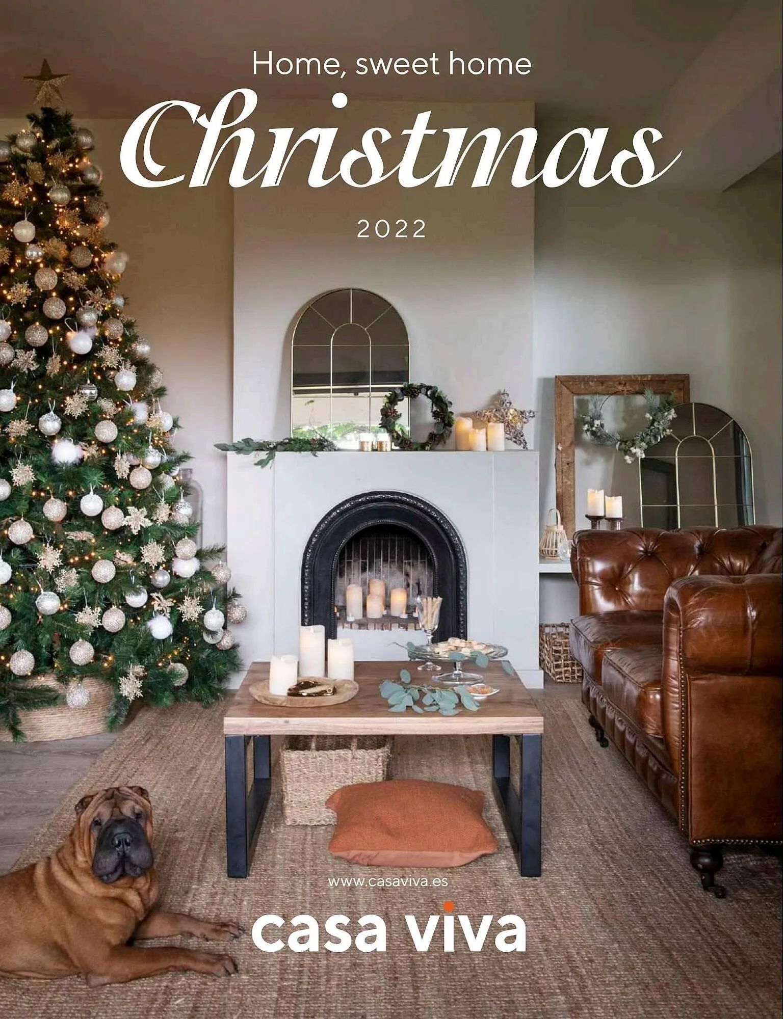 Folleto Casa Viva - 1