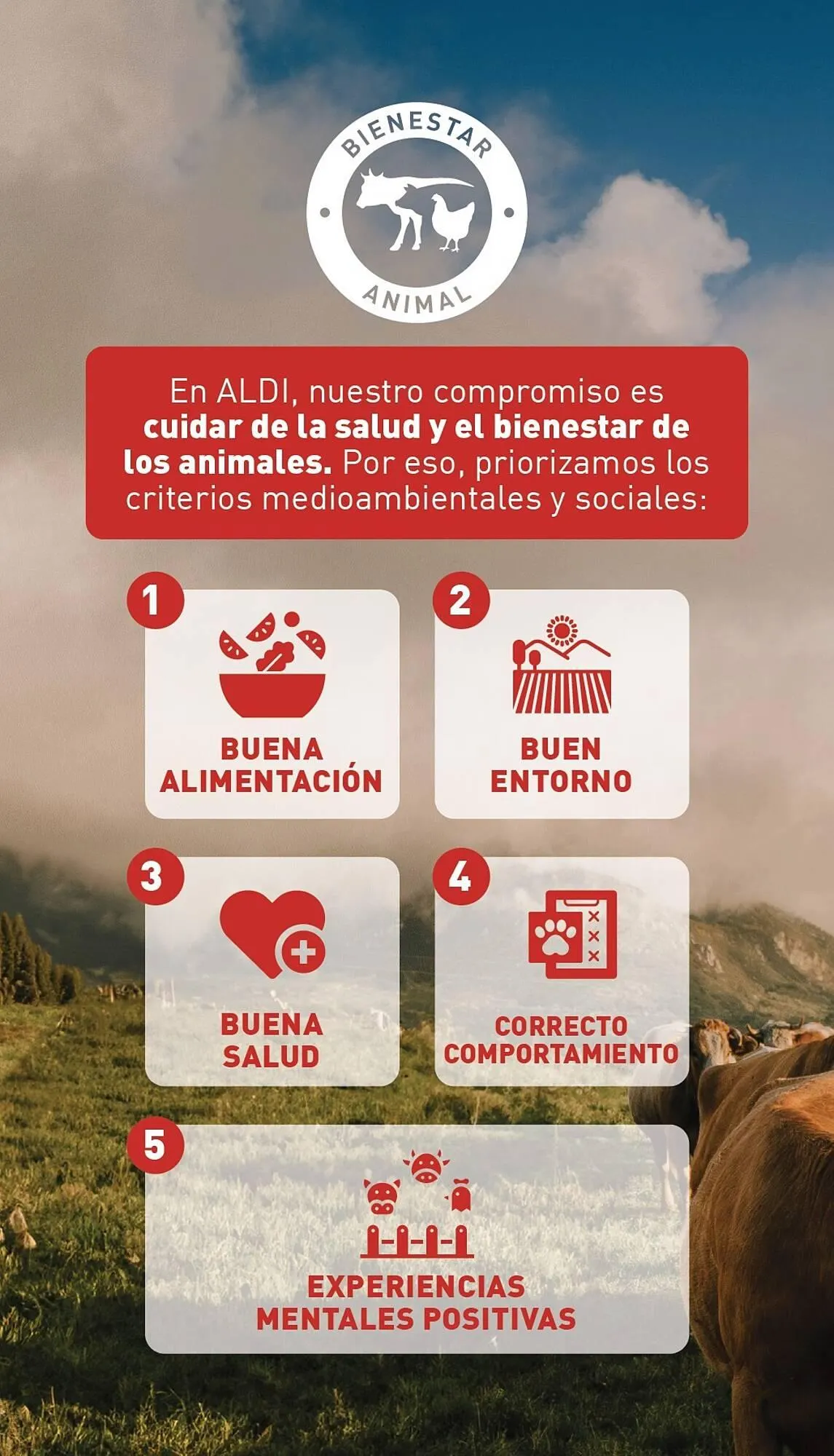 Catálogo de Folleto ALDI 7 de abril al 13 de abril 2025 - Página 8