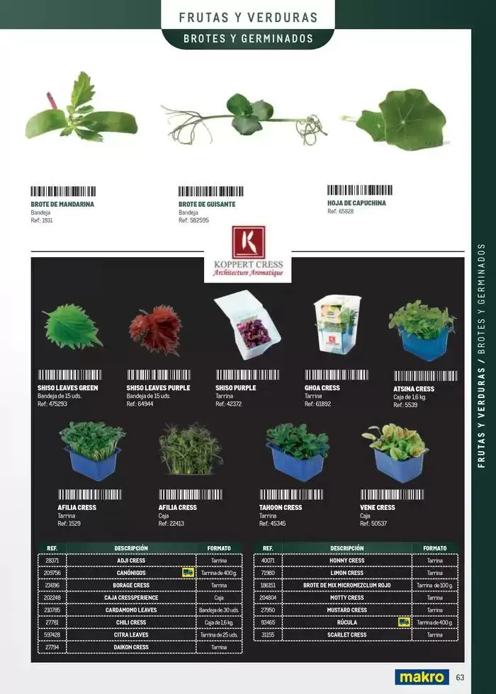 Catálogo de Especia Carta Canarias 8 de abril al 31 de diciembre 2025 - Página 63