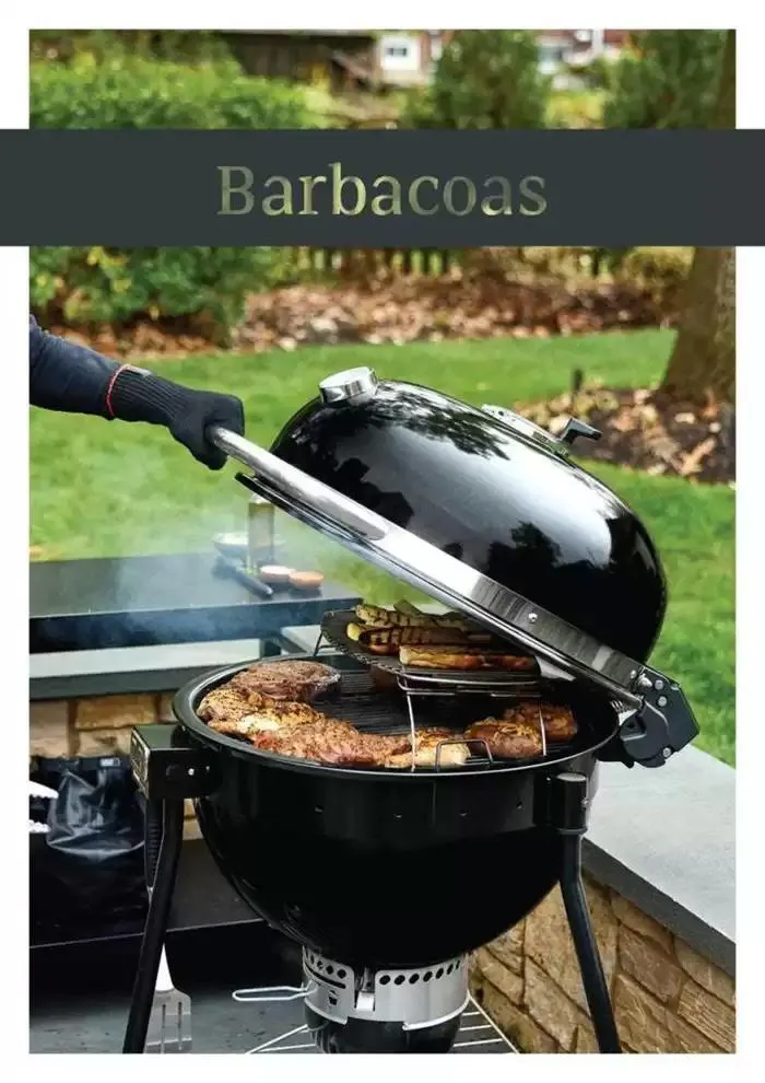 Catálogo de Transforma tu jardín y espacio exterior con estilo 8 de abril al 16 de mayo 2025 - Página 193