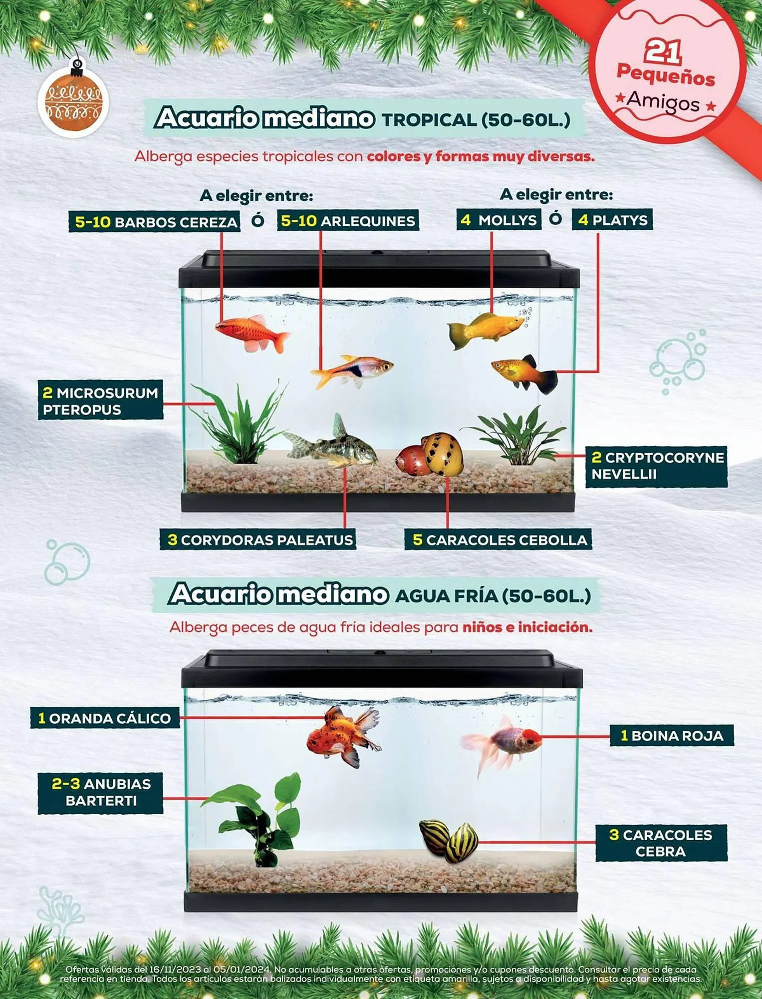 Catálogo de Folleto Kiwoko 23 de noviembre al 5 de enero 2024 - Página 21
