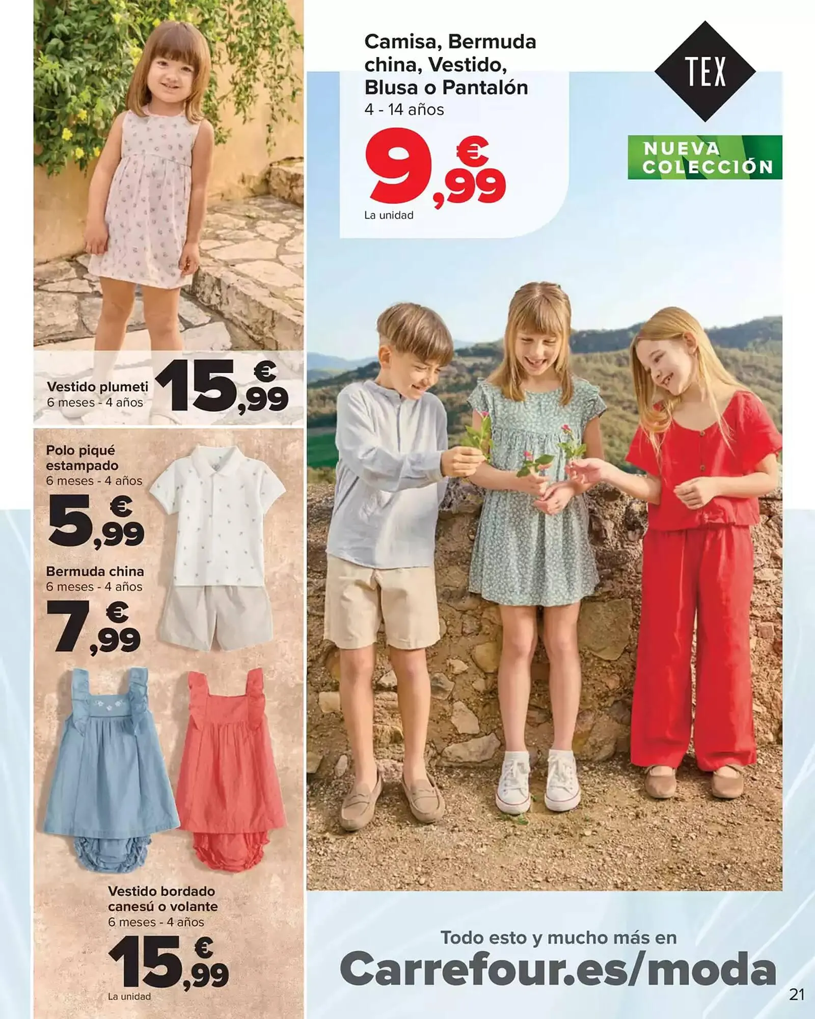 Catálogo de Folleto Carrefour 9 de abril al 15 de mayo 2025 - Página 21