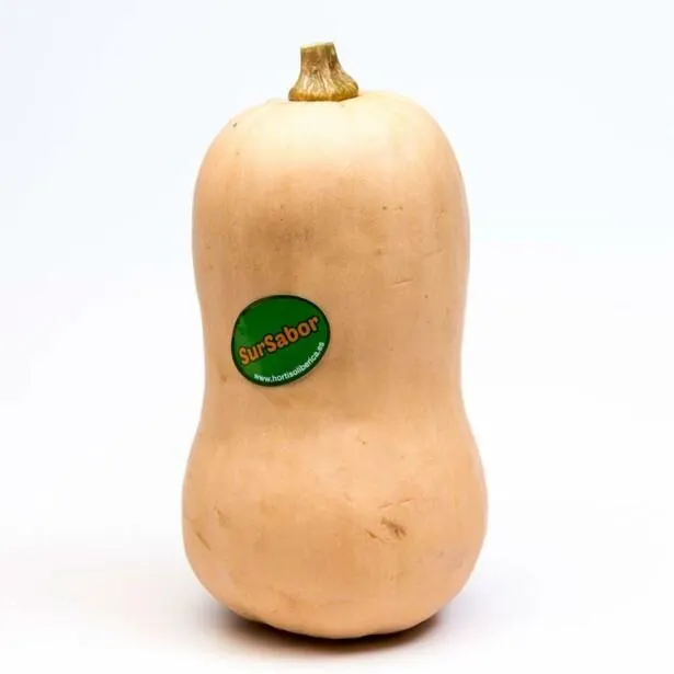 Calabaza violina granel