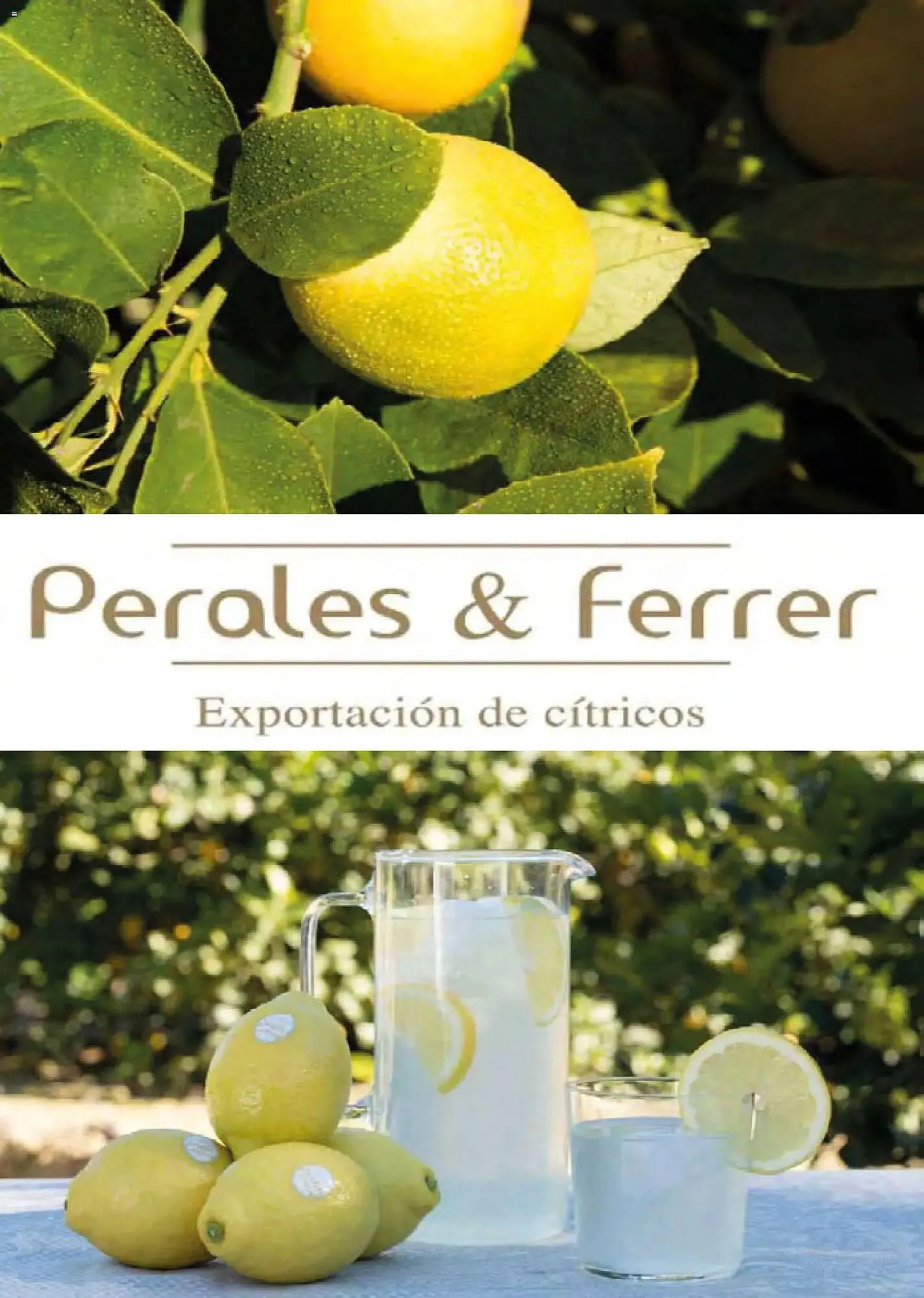 Catálogo de Catálogo Costco 19 de marzo al 31 de mayo 2026 - Página 146