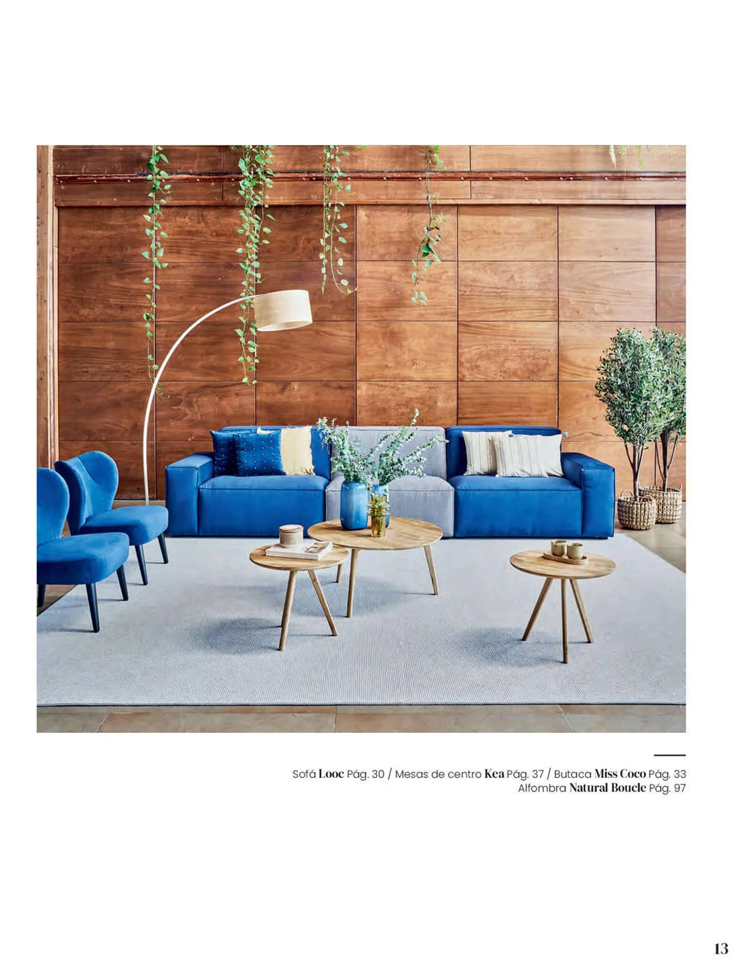 Catálogo de Folleto La Oca 6 de septiembre al 31 de agosto 2023 - Página 13