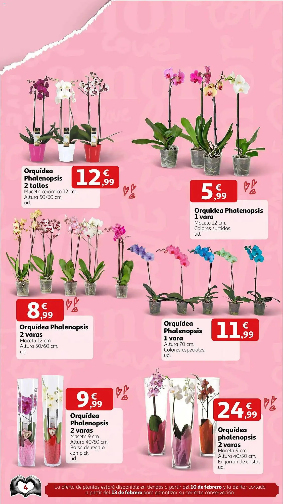 Catálogo de Folleto Alcampo 2 de febrero al 14 de febrero 2026 - Página 3