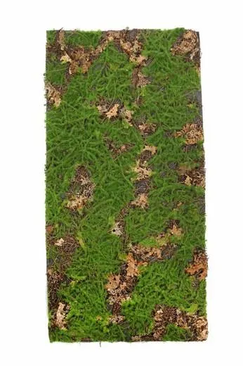 Placa hojas y hierba artificial