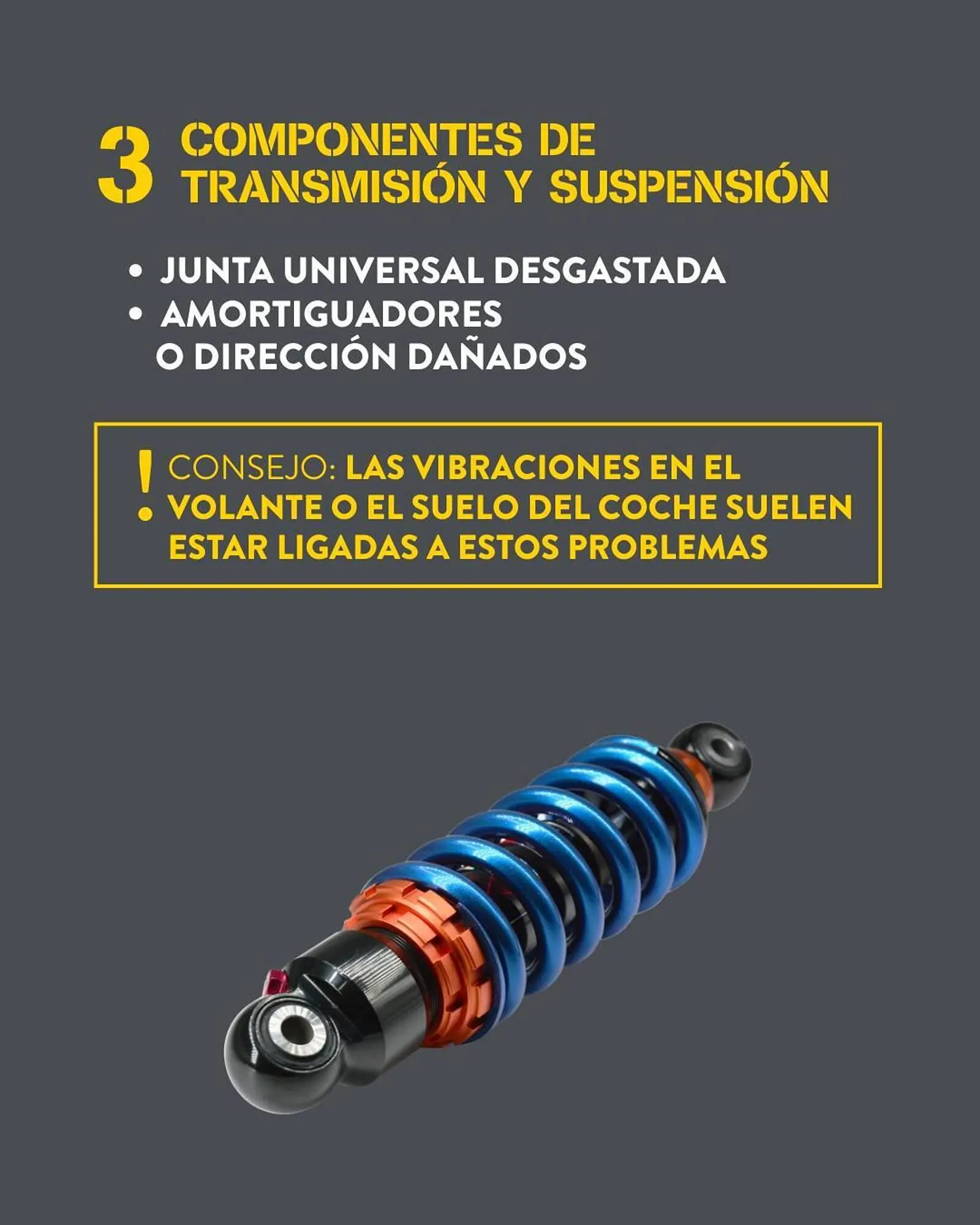 Catálogo de Folleto Rodi 28 de agosto al 11 de octubre 2025 - Página 4