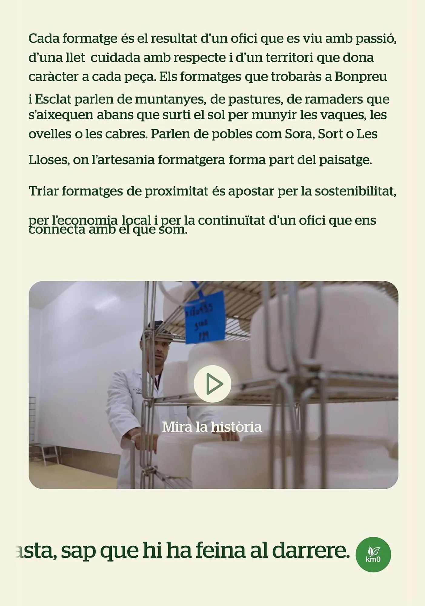 Catálogo de Folleto BonpreuEsclat 30 de enero al 30 de junio 2026 - Página 31