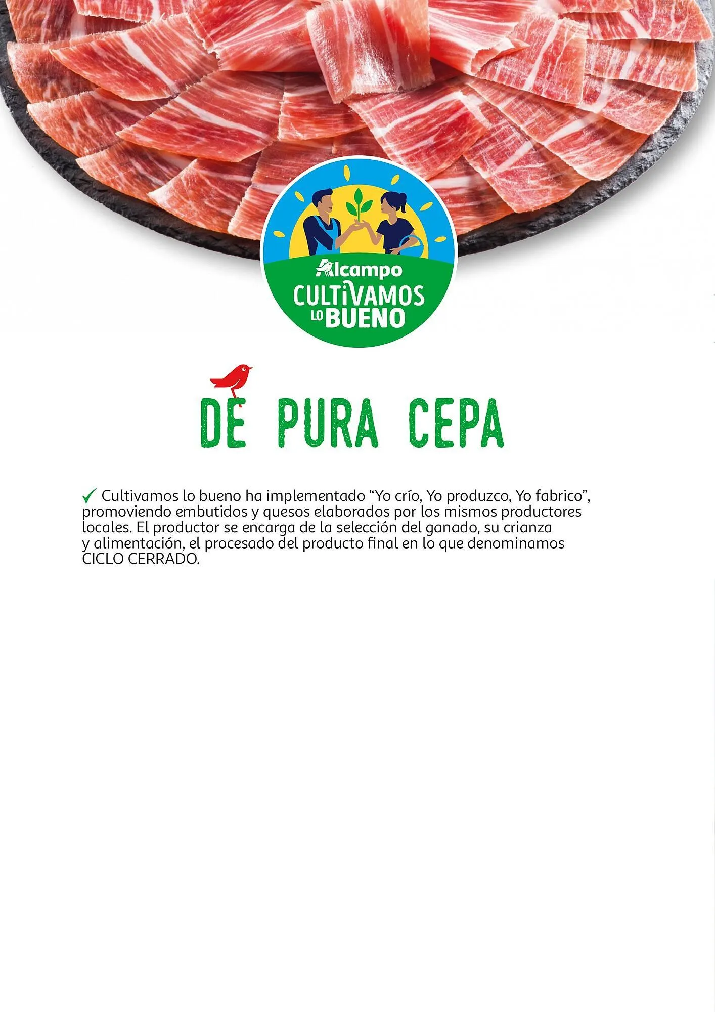 Catálogo de Folleto Alcampo 23 de abril al 31 de diciembre 2025 - Página 53