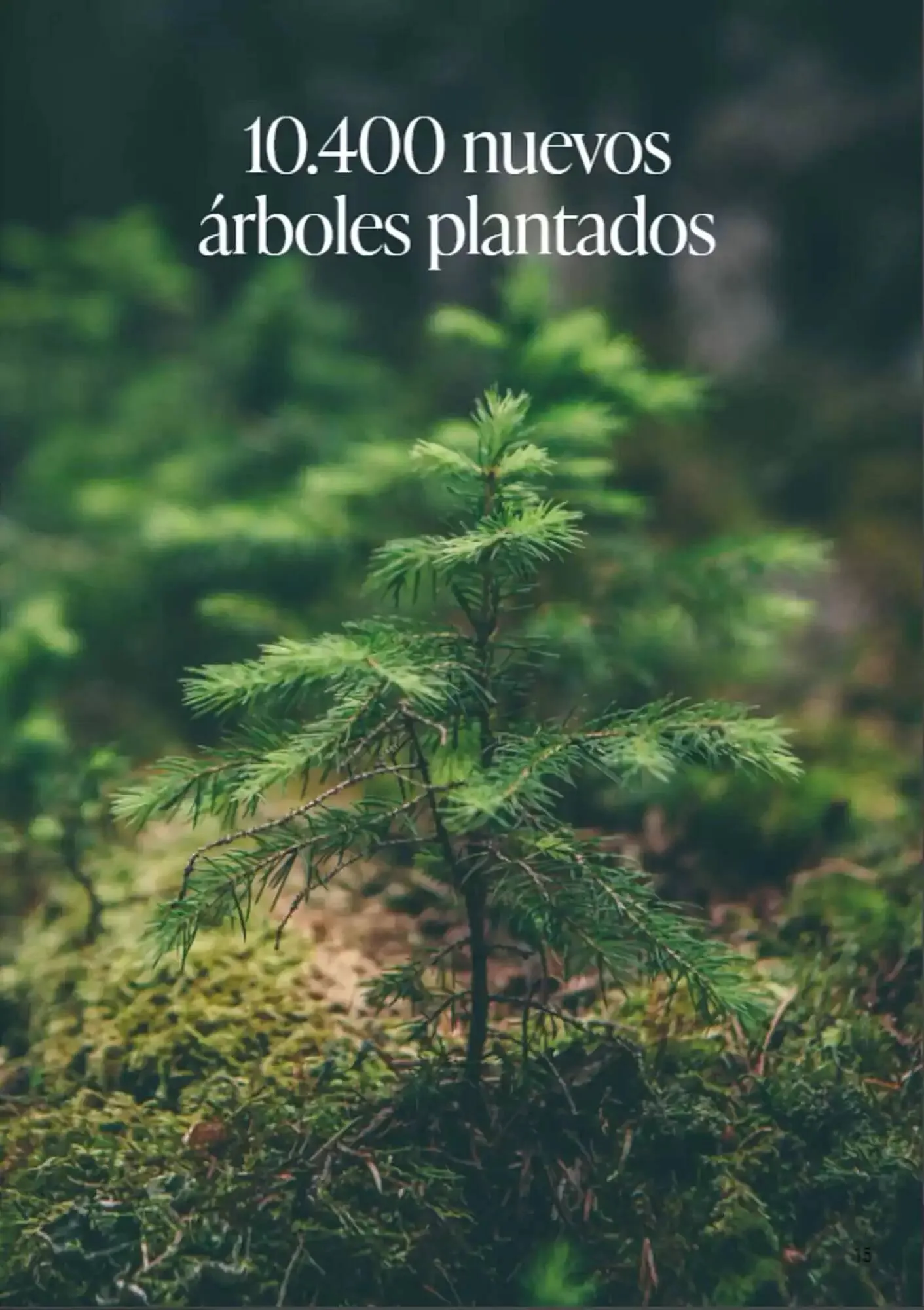 Catálogo de Folleto Porcelanosa 11 de marzo al 31 de diciembre 2025 - Página 15