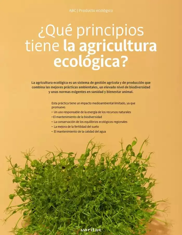 Catálogo de Veritas Abril, 2025 - Castellano 1 de abril al 30 de abril 2025 - Página 26