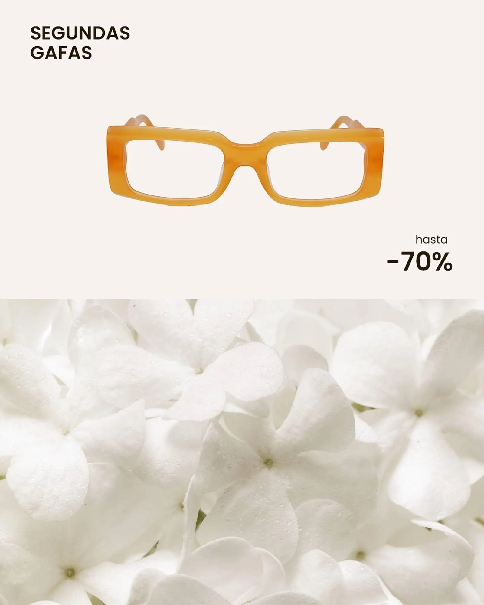 Catálogo de Catálogo Soloptical 25 de marzo al 9 de mayo 2026 - Página 2